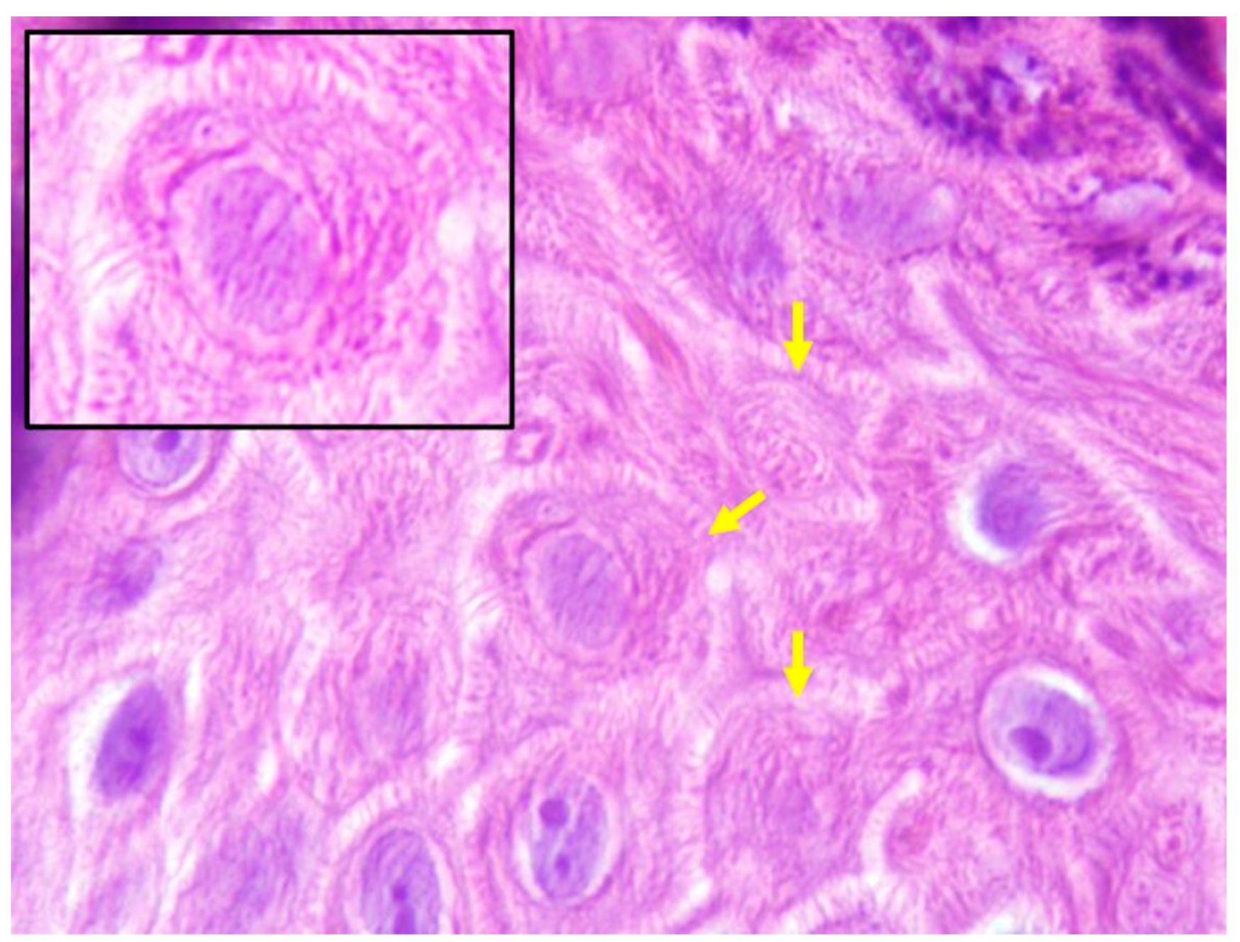 Jcm 10 04608 g002 550