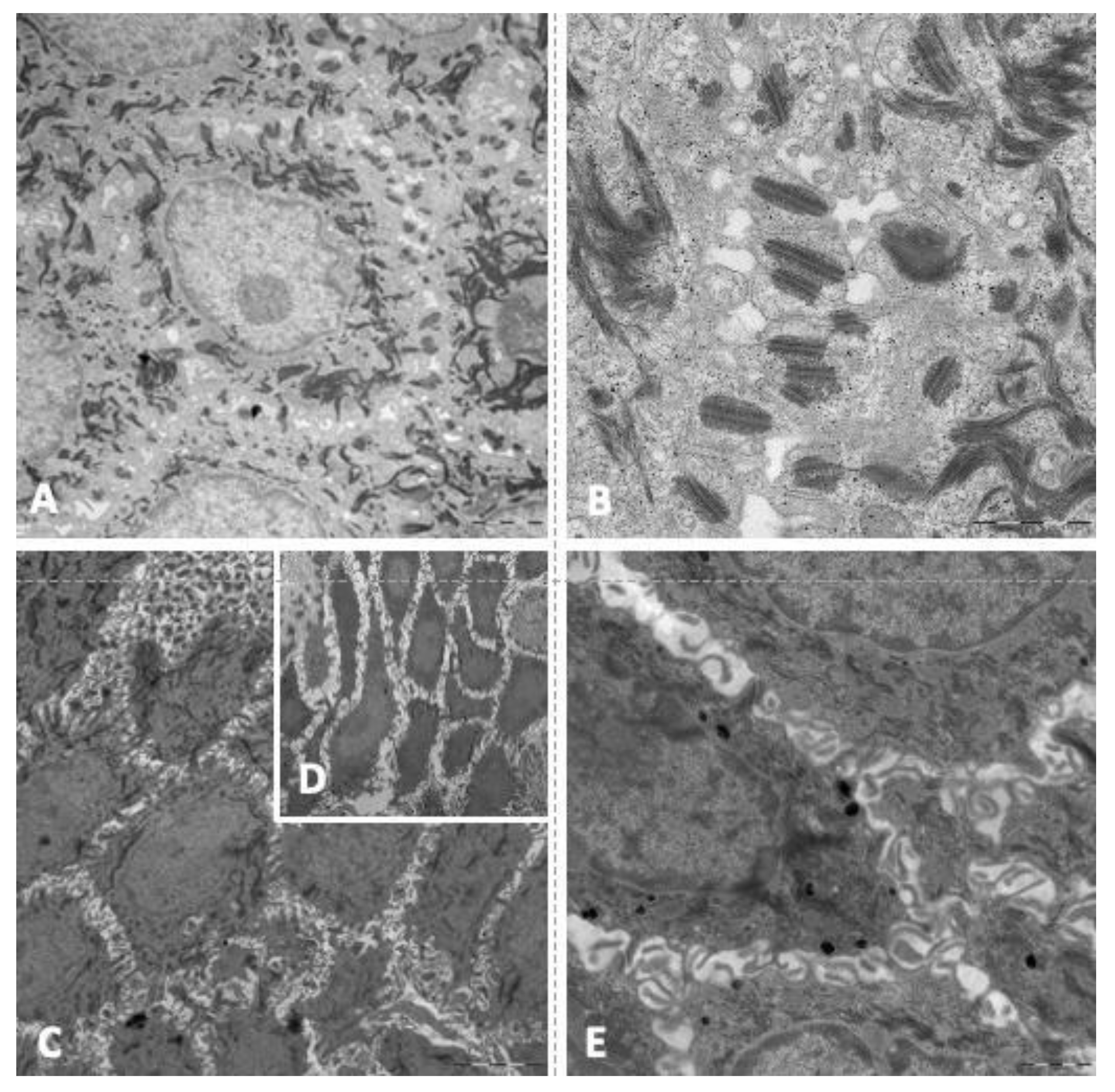 Jcm 10 04608 g003 550