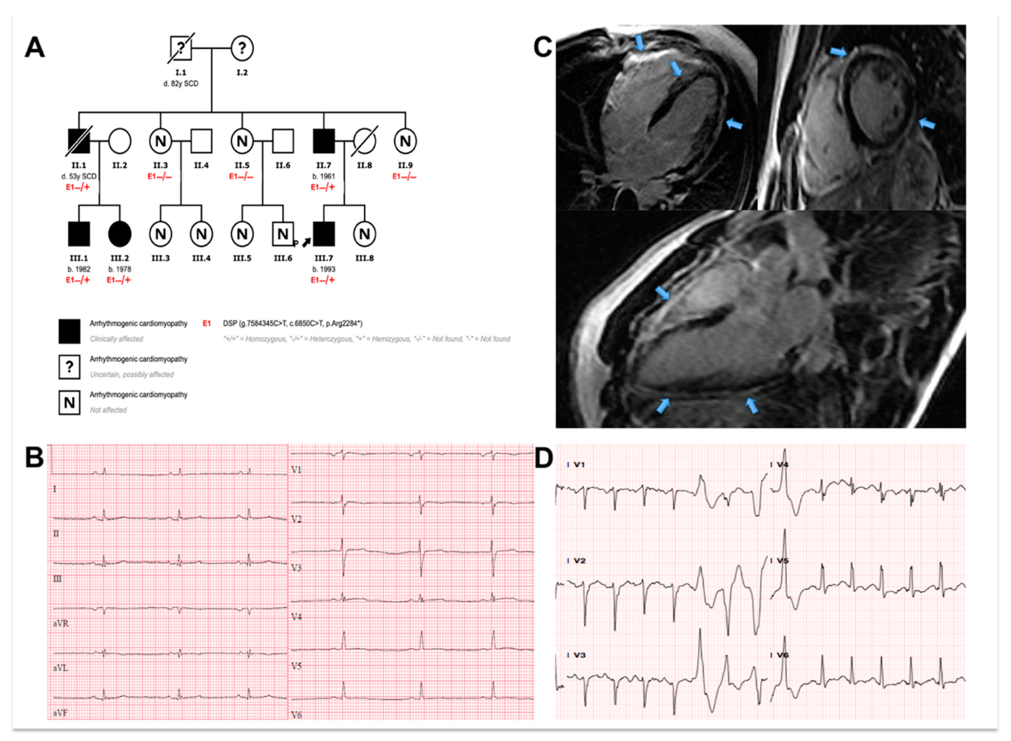 Jcm 10 04608 g0a1 550