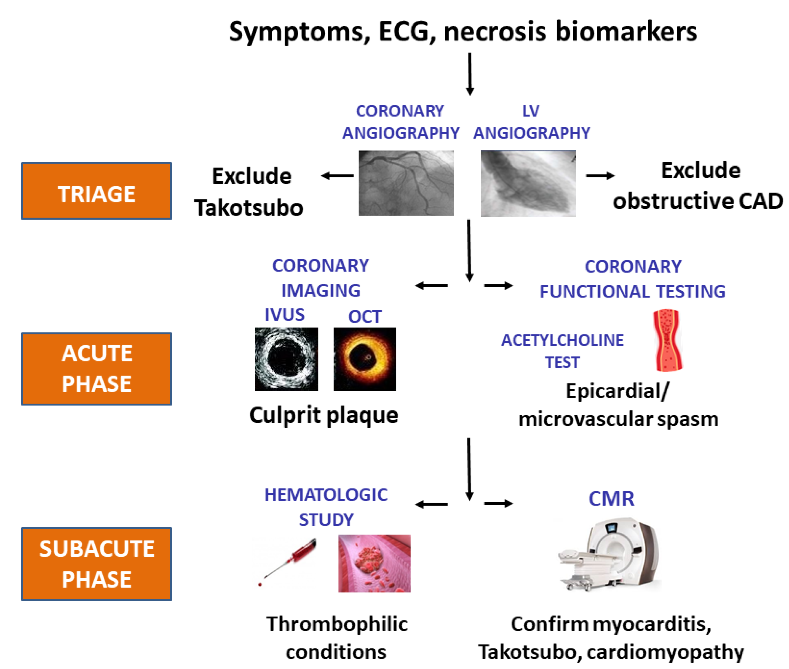 Jcm 10 04630 g002 Jcm 10 04630 g002