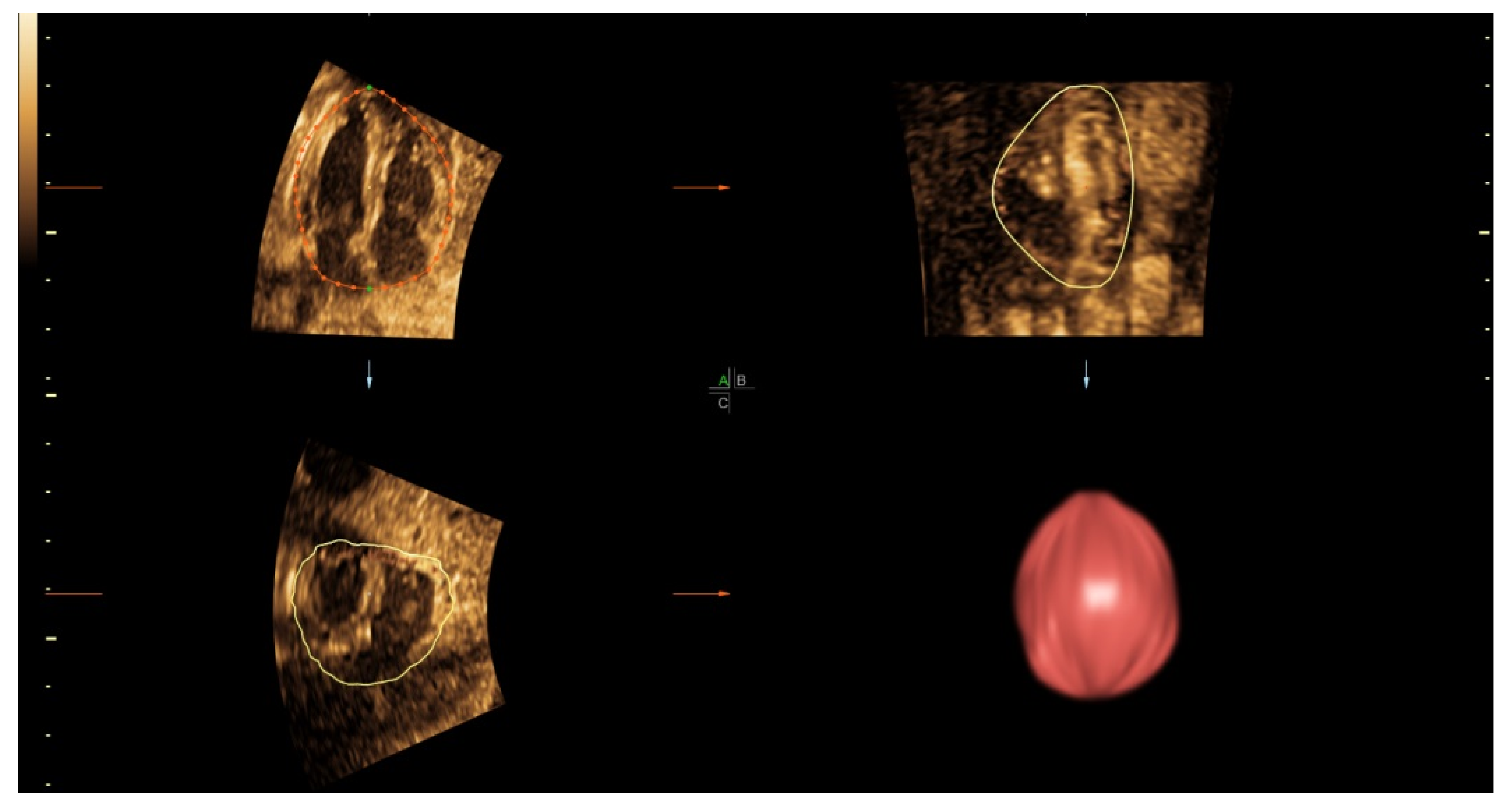 Jcm 10 04651 g001 550