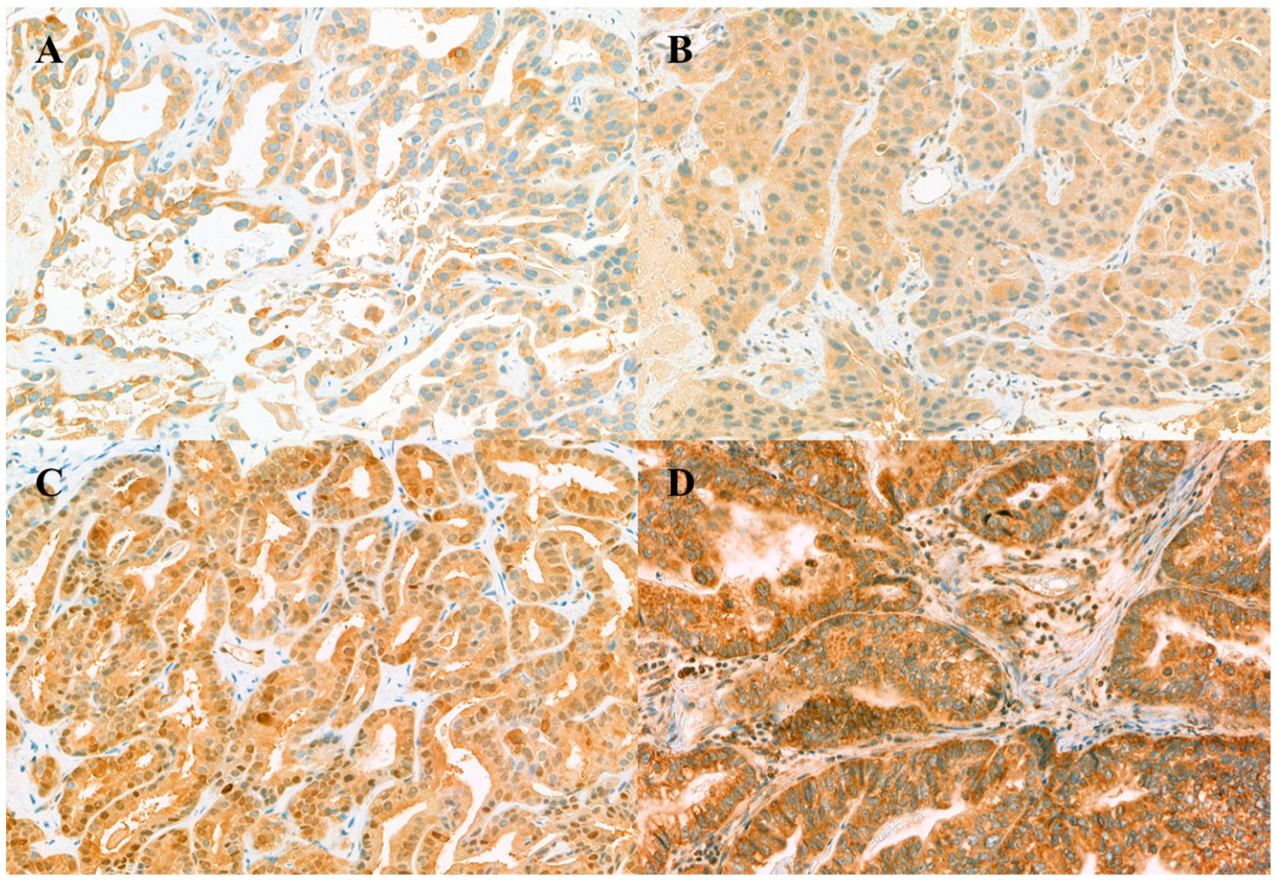 Jcm 10 04652 g001 Jcm 10 04652 g001