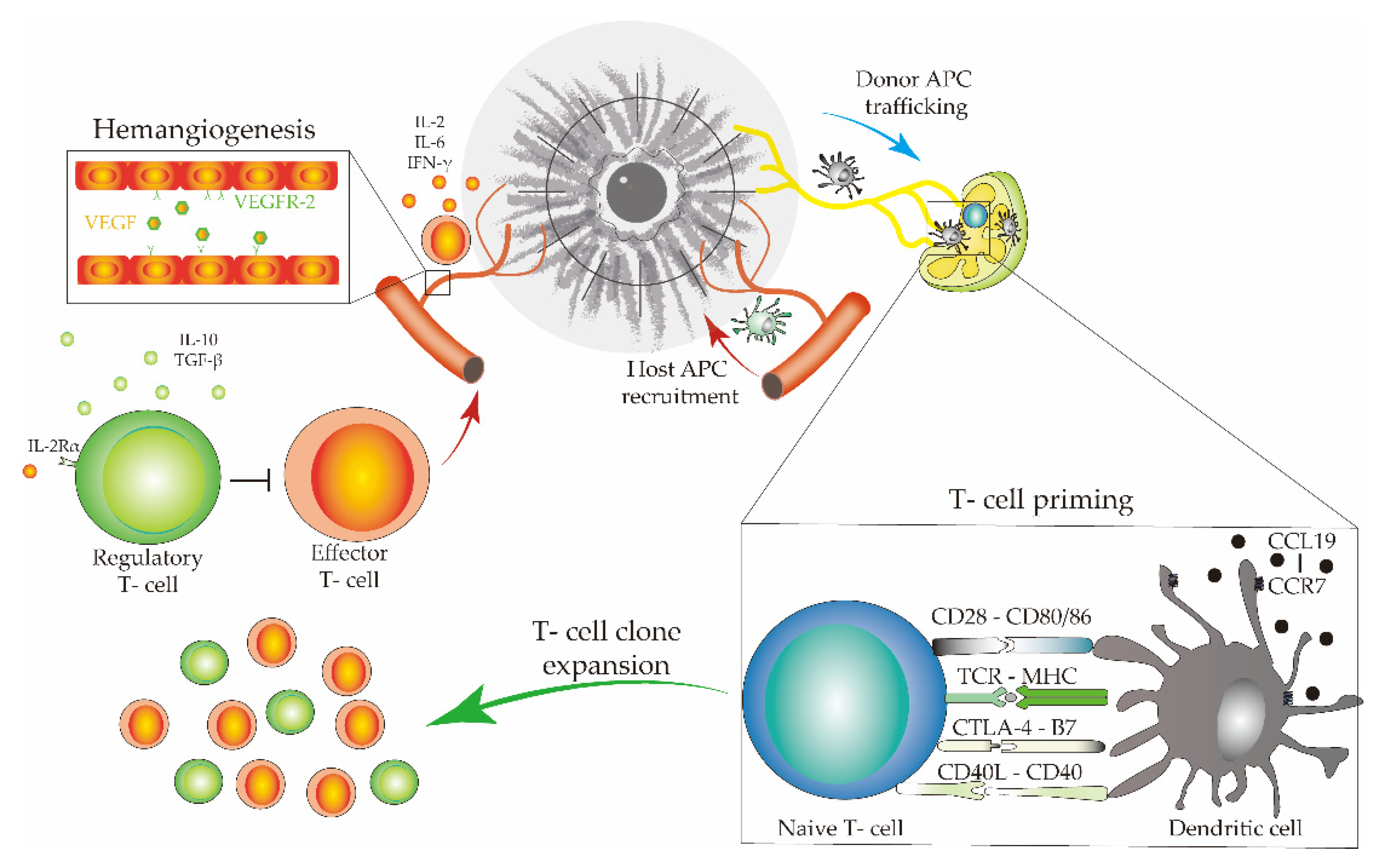 Jcm 10 04667 g007 Jcm 10 04667 g007