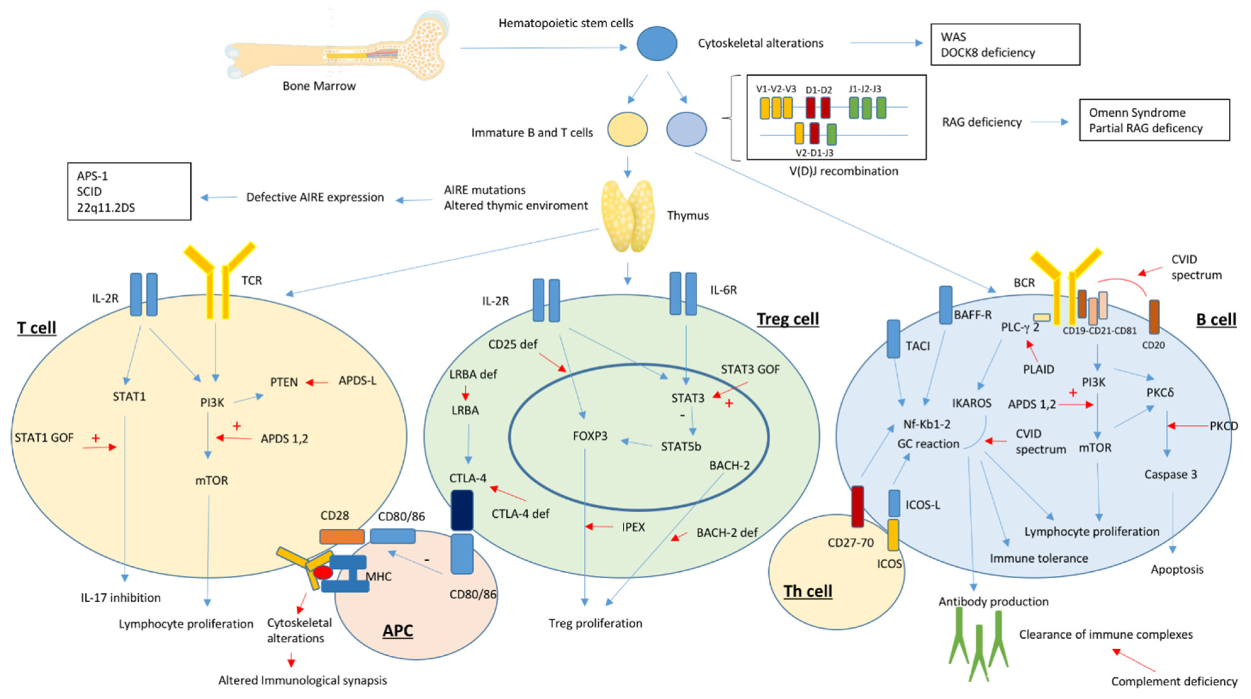 Jcm 10 04729 g001 Jcm 10 04729 g001