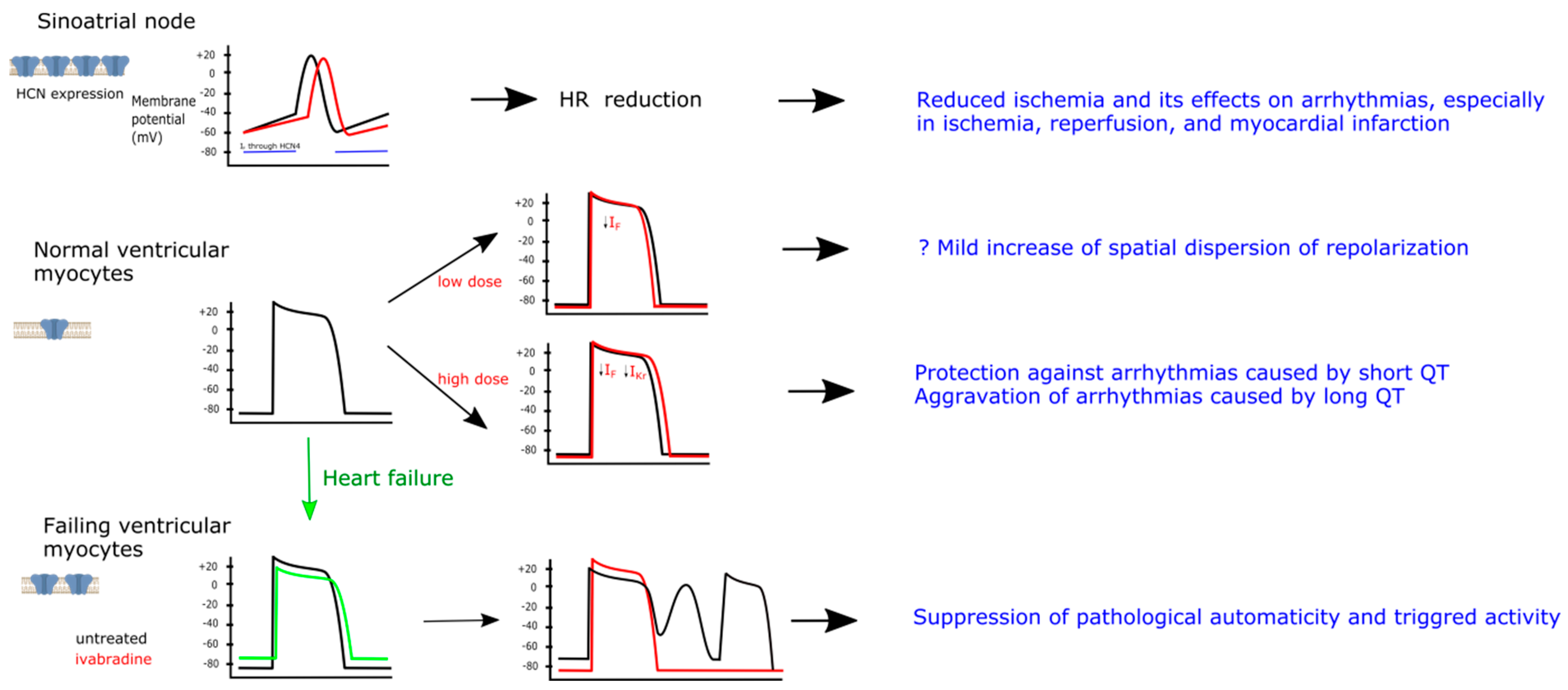 Jcm 10 04732 g001 550