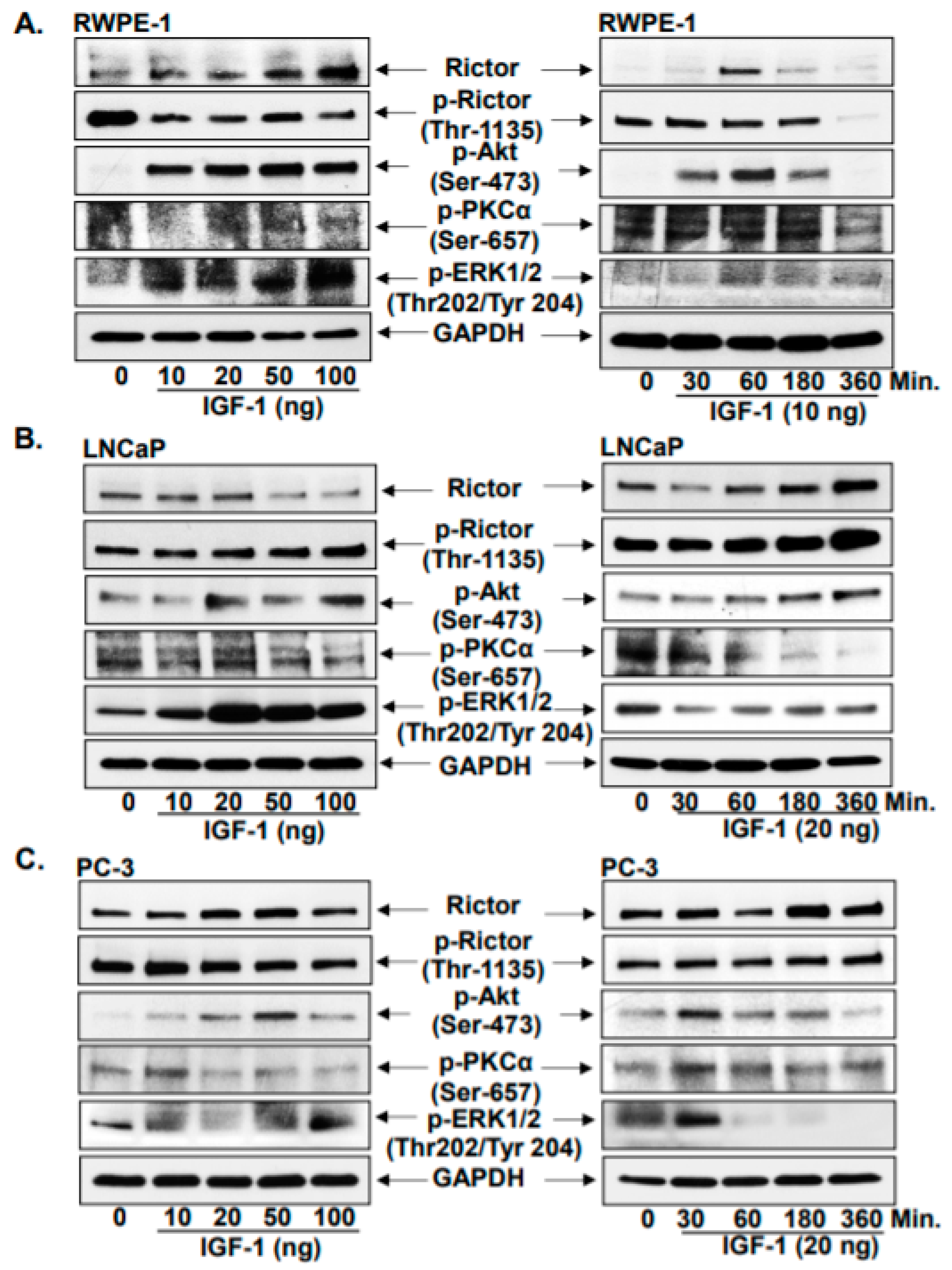 Jcm 10 04741 g001 550