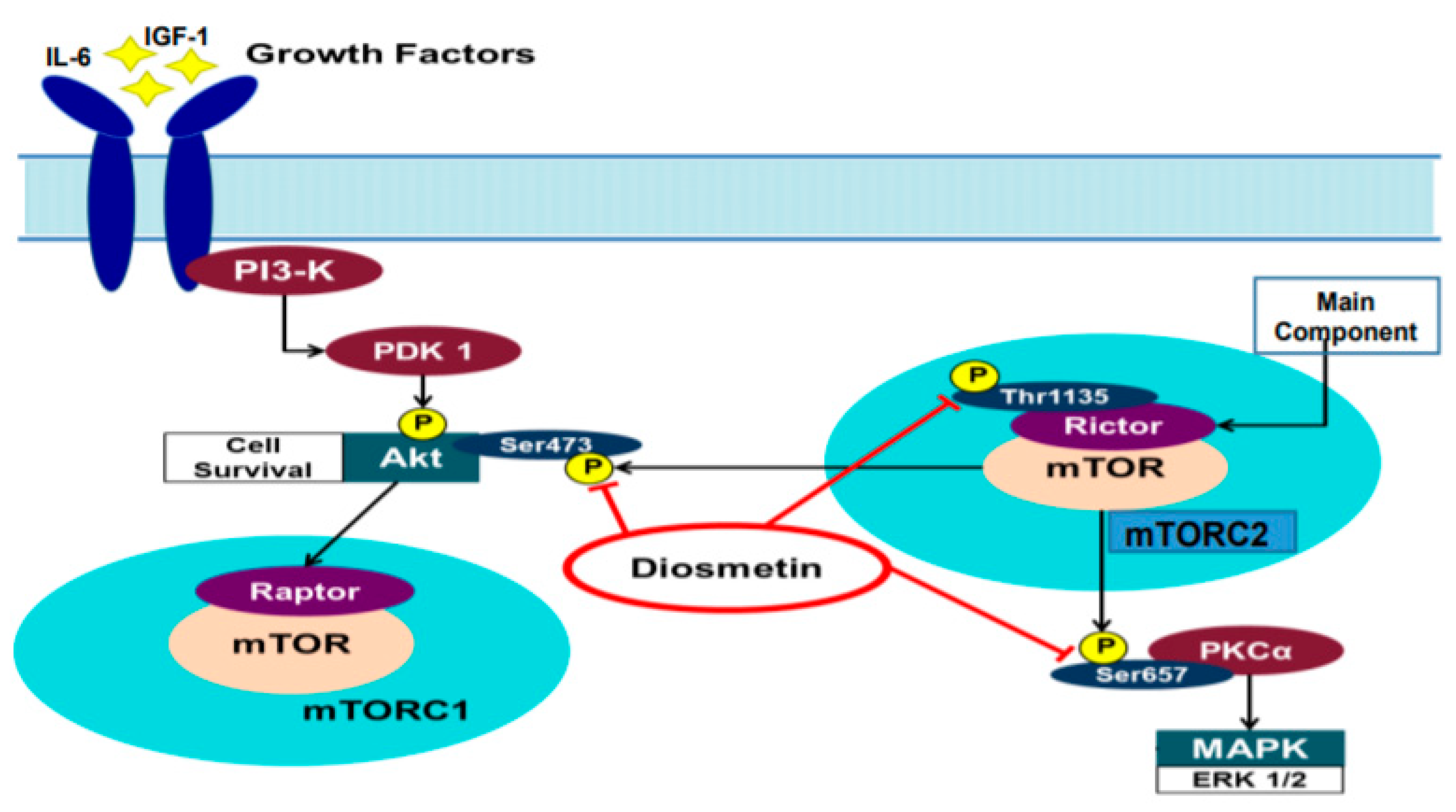 Jcm 10 04741 g007 550