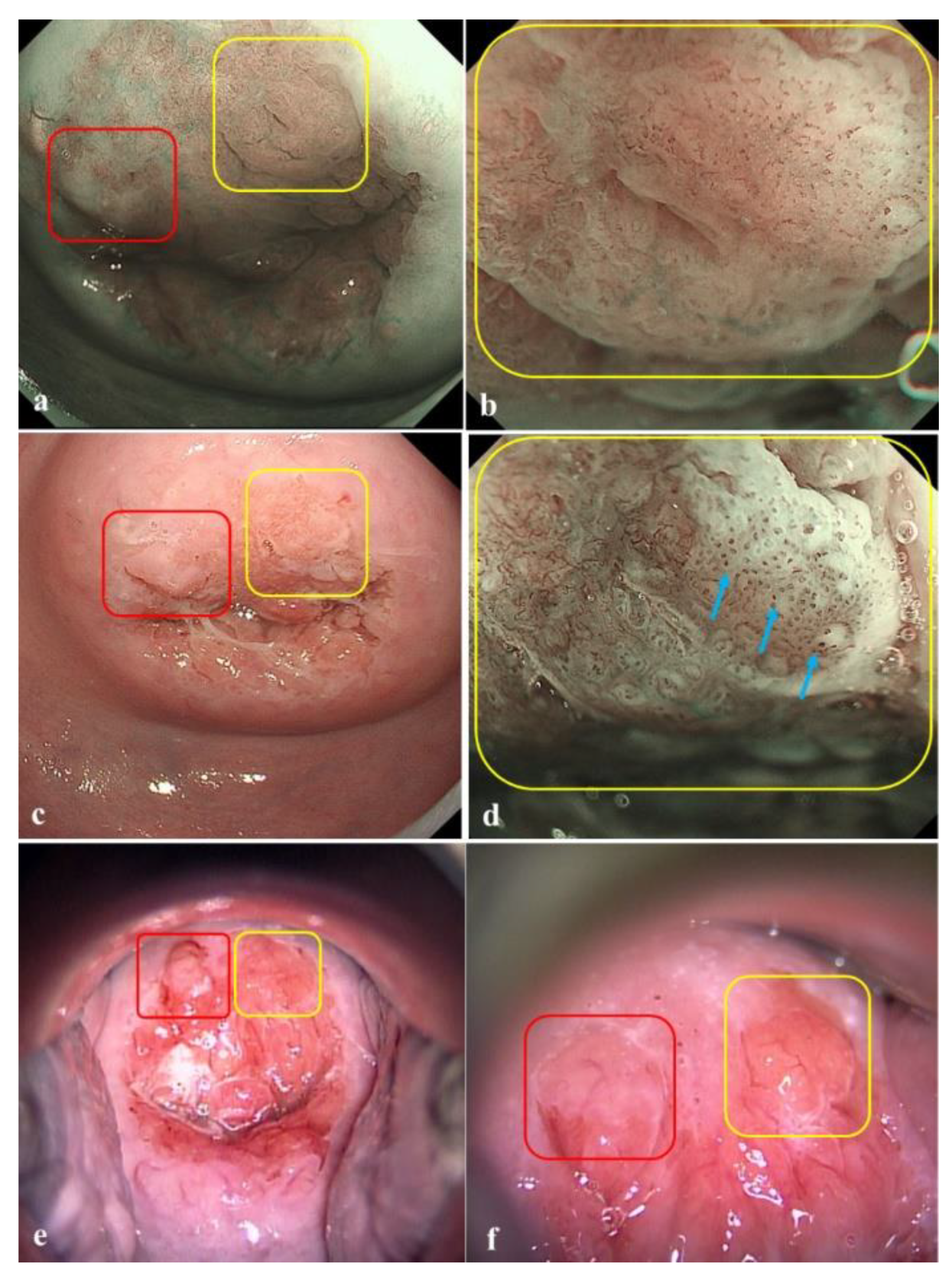 Jcm 10 04753 g003 550
