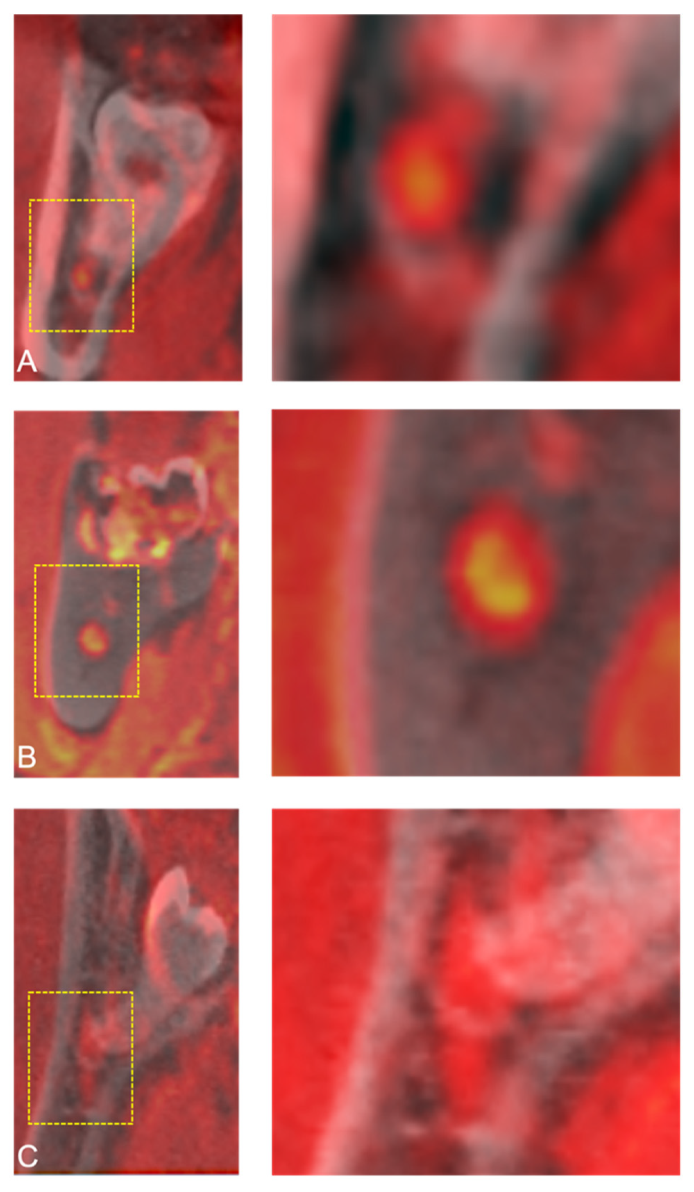 Jcm 10 04768 g005 550