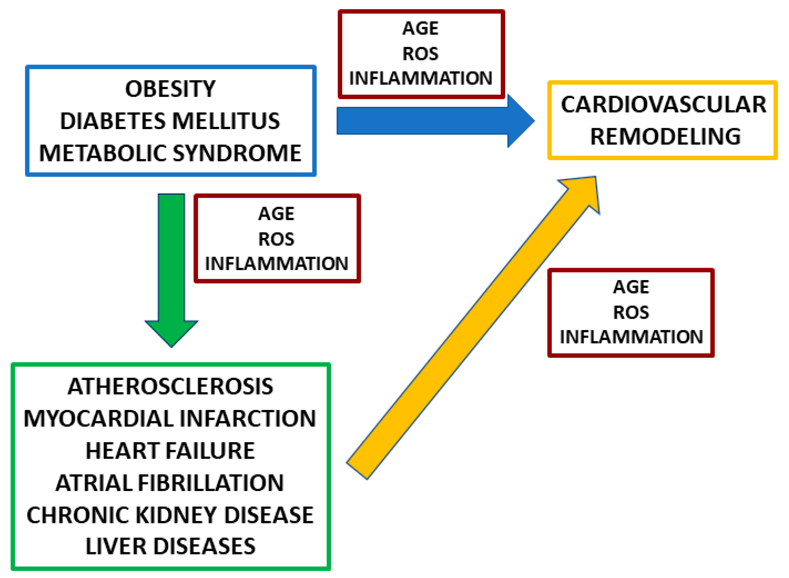 Jcm 10 04792 g001 Jcm 10 04792 g001