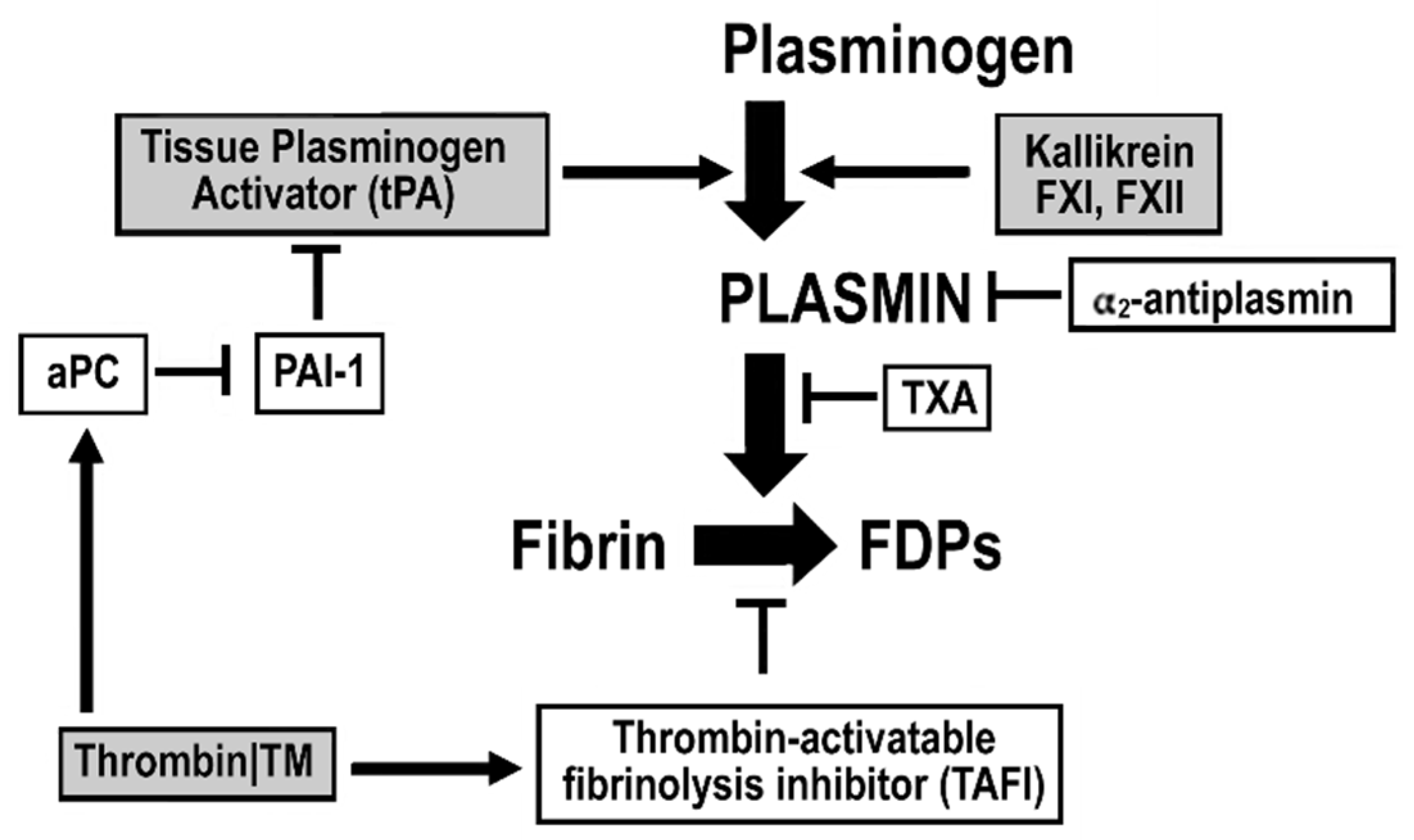 Jcm 10 04793 g003 Jcm 10 04793 g003