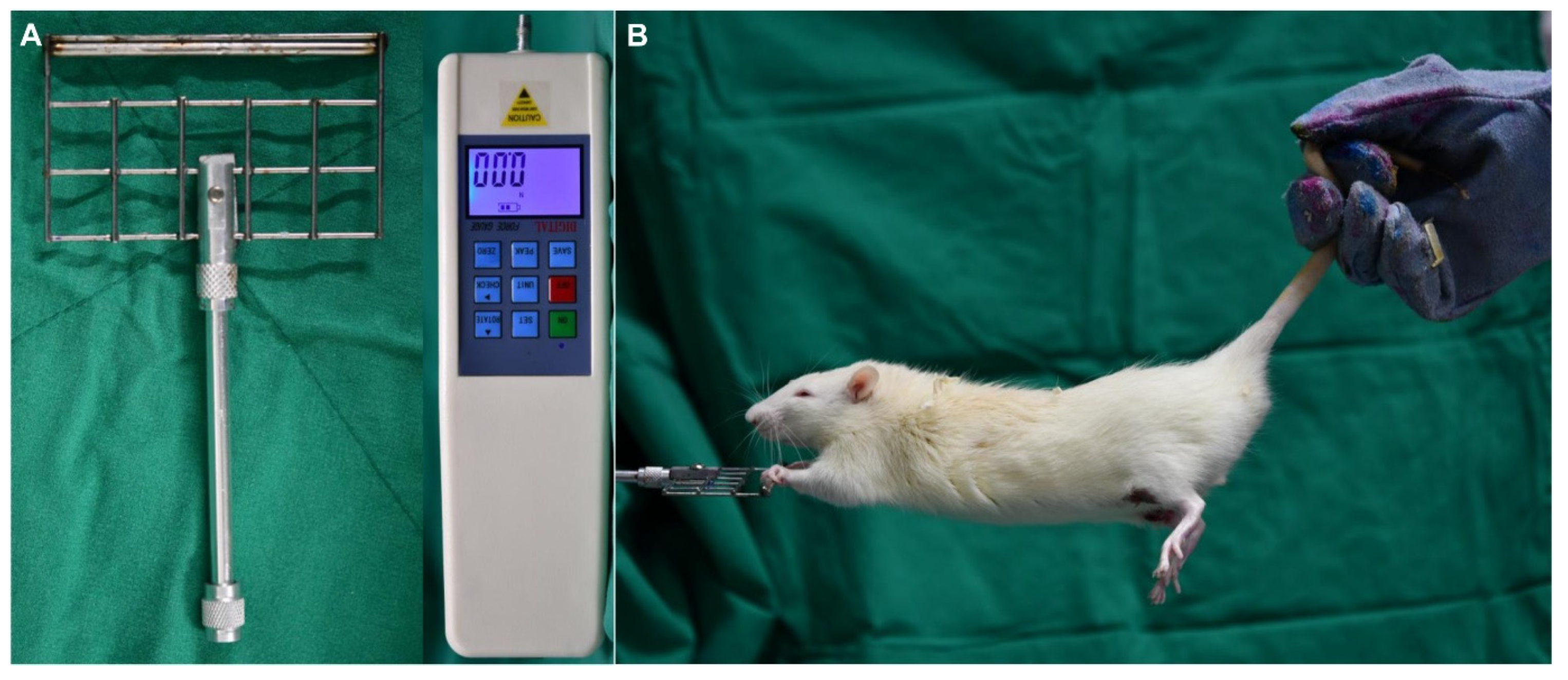 Jcm 10 04803 g002 550