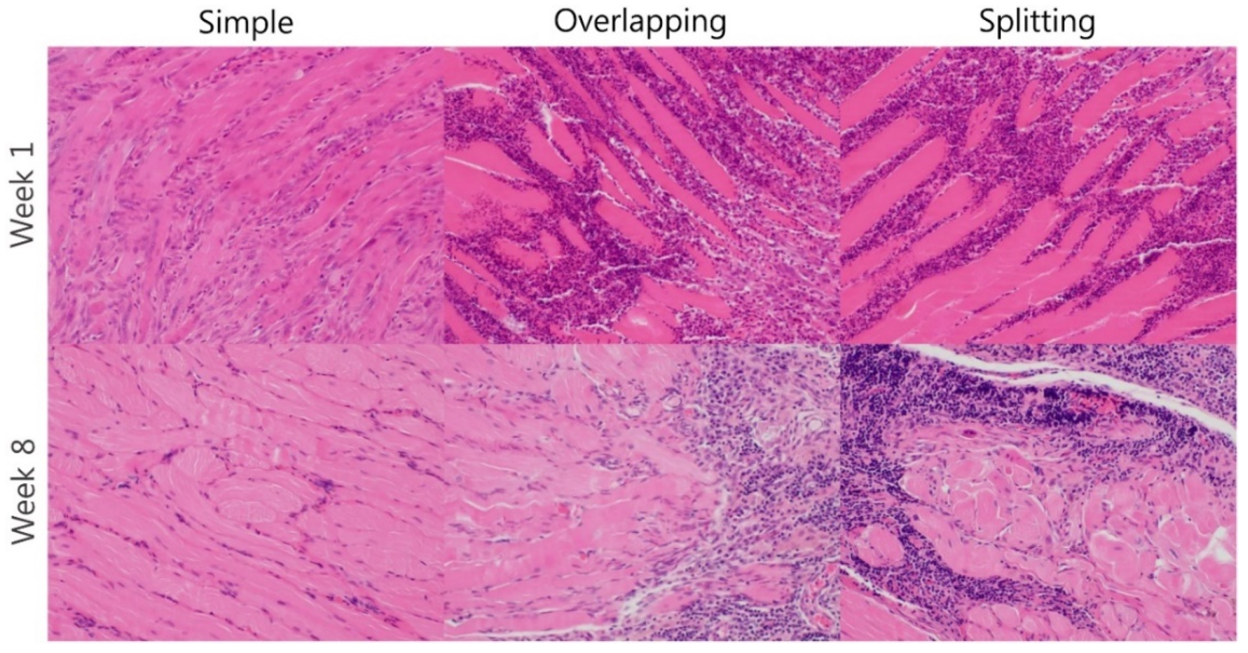 Jcm 10 04803 g006 550