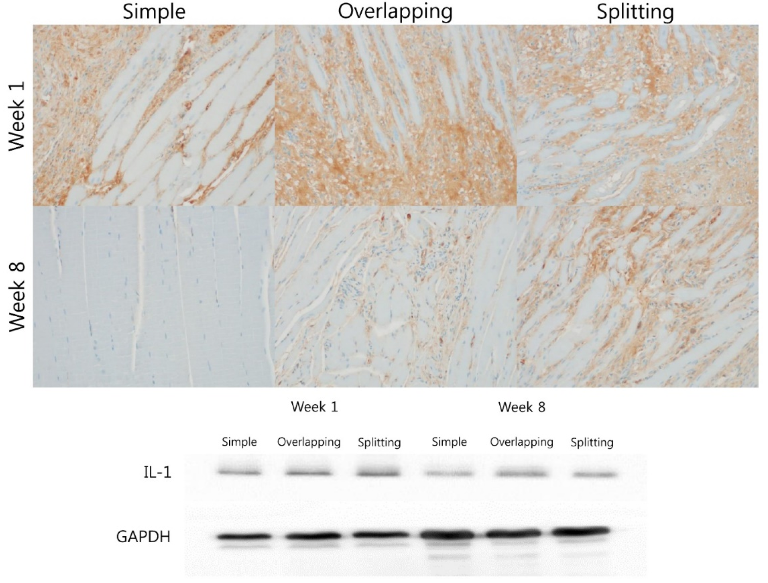 Jcm 10 04803 g007 550