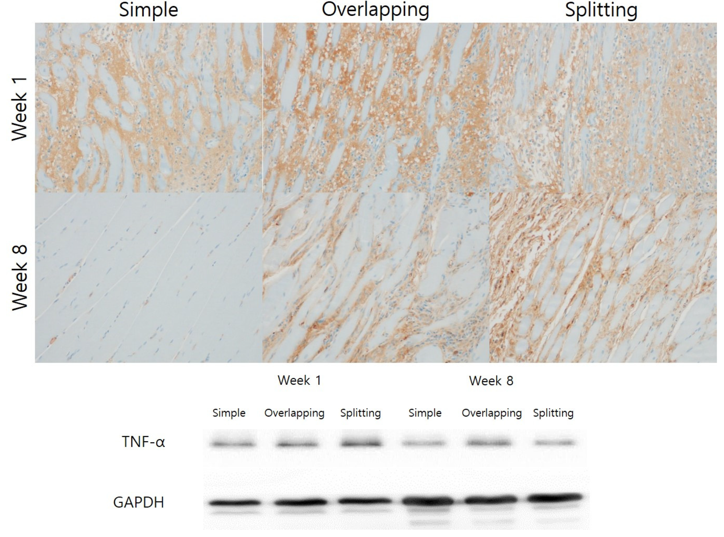 Jcm 10 04803 g008 550