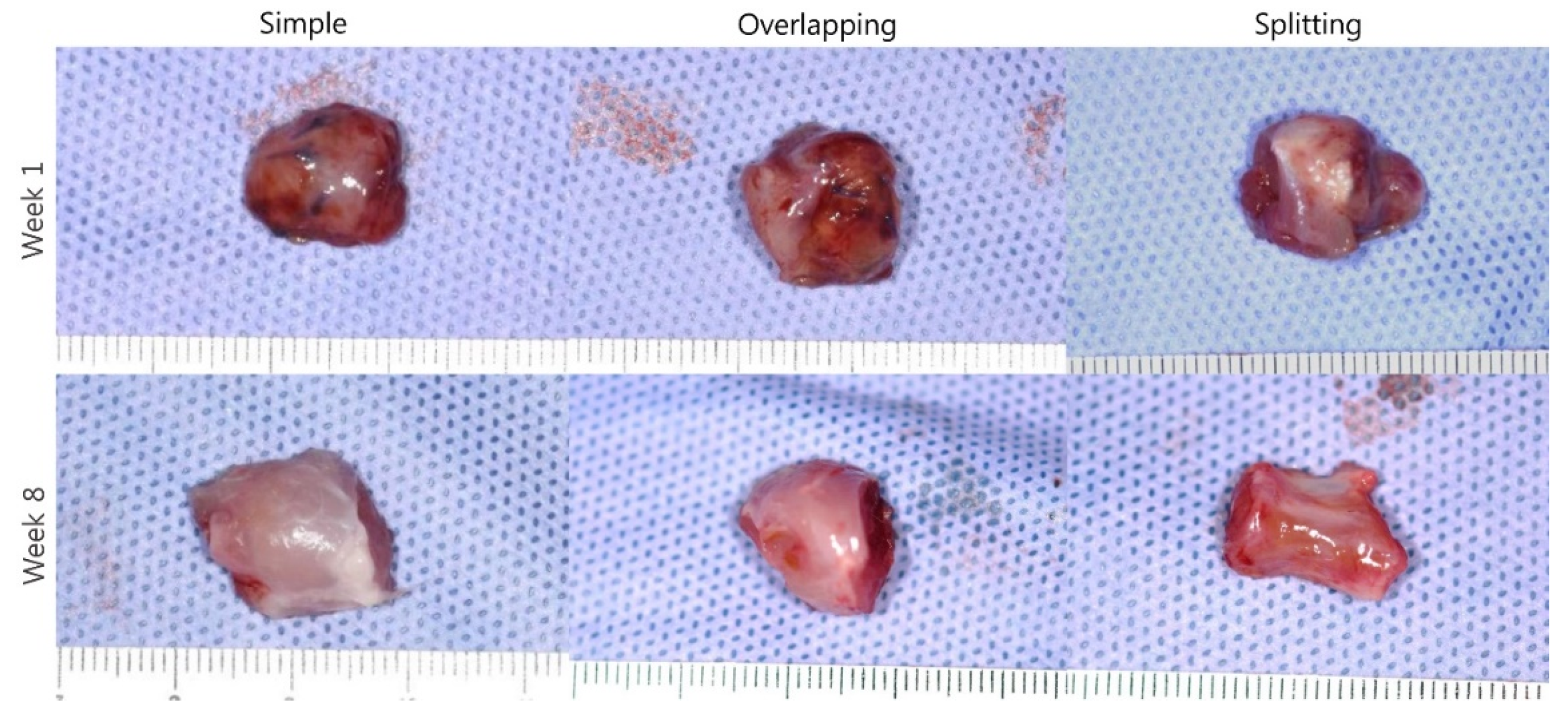 Jcm 10 04803 g009 550