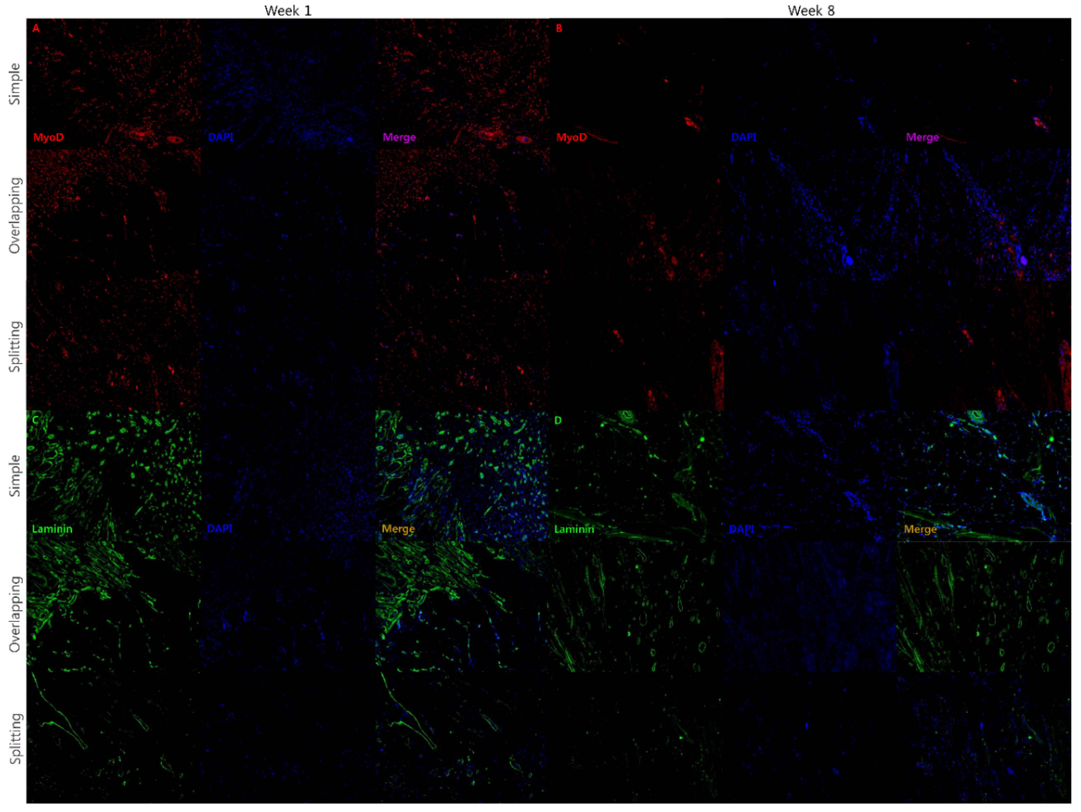 Jcm 10 04803 g010 550