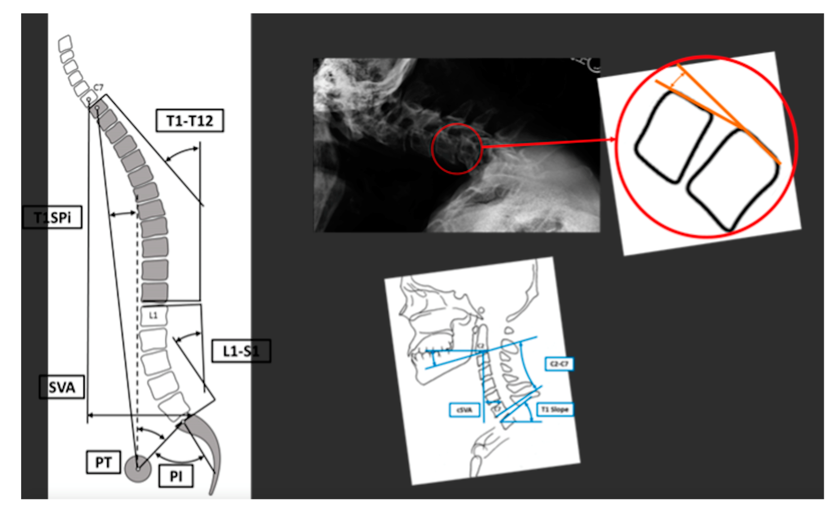 Jcm 10 04826 g001 550
