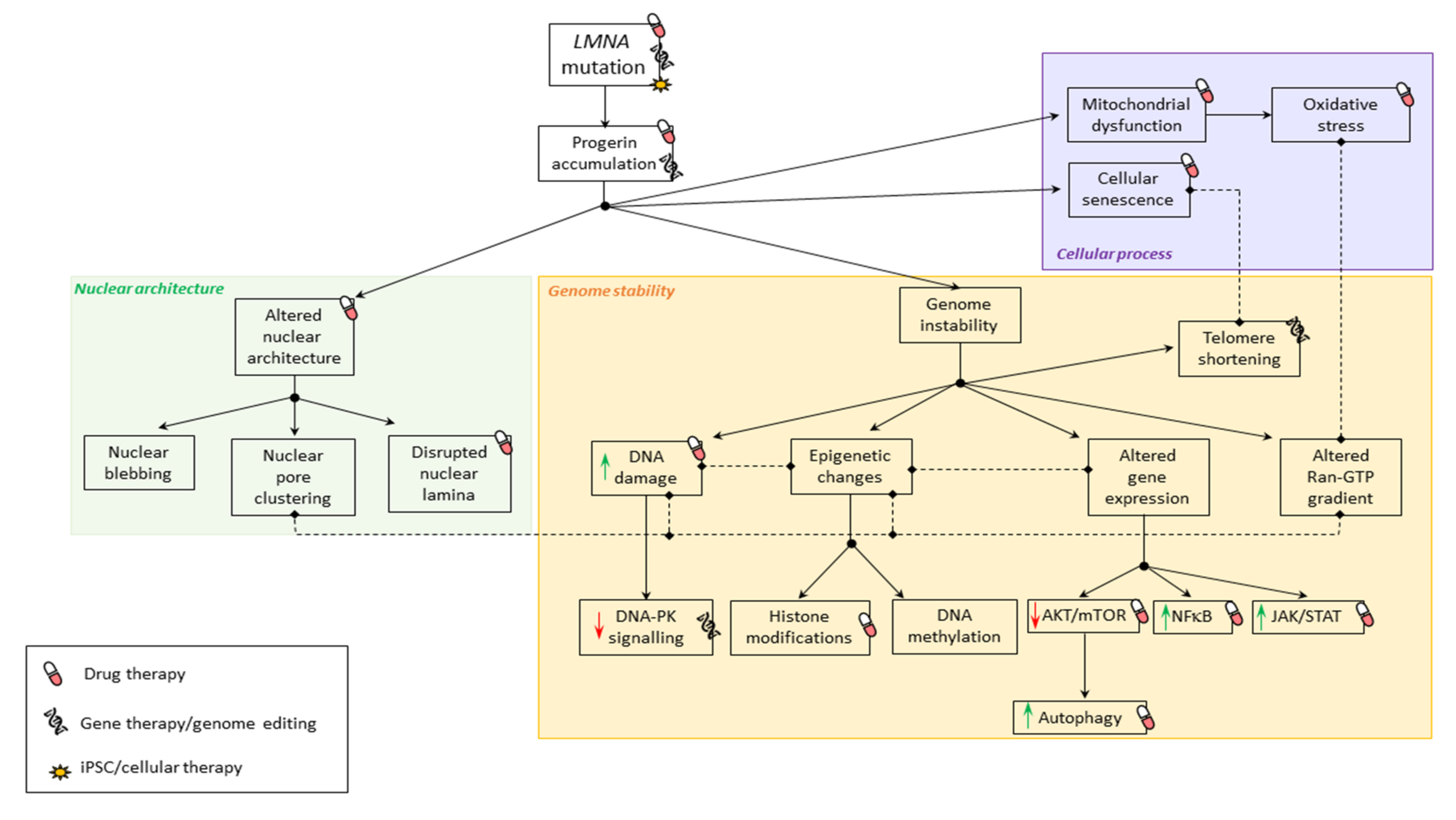Jcm 10 04834 g002 Jcm 10 04834 g002