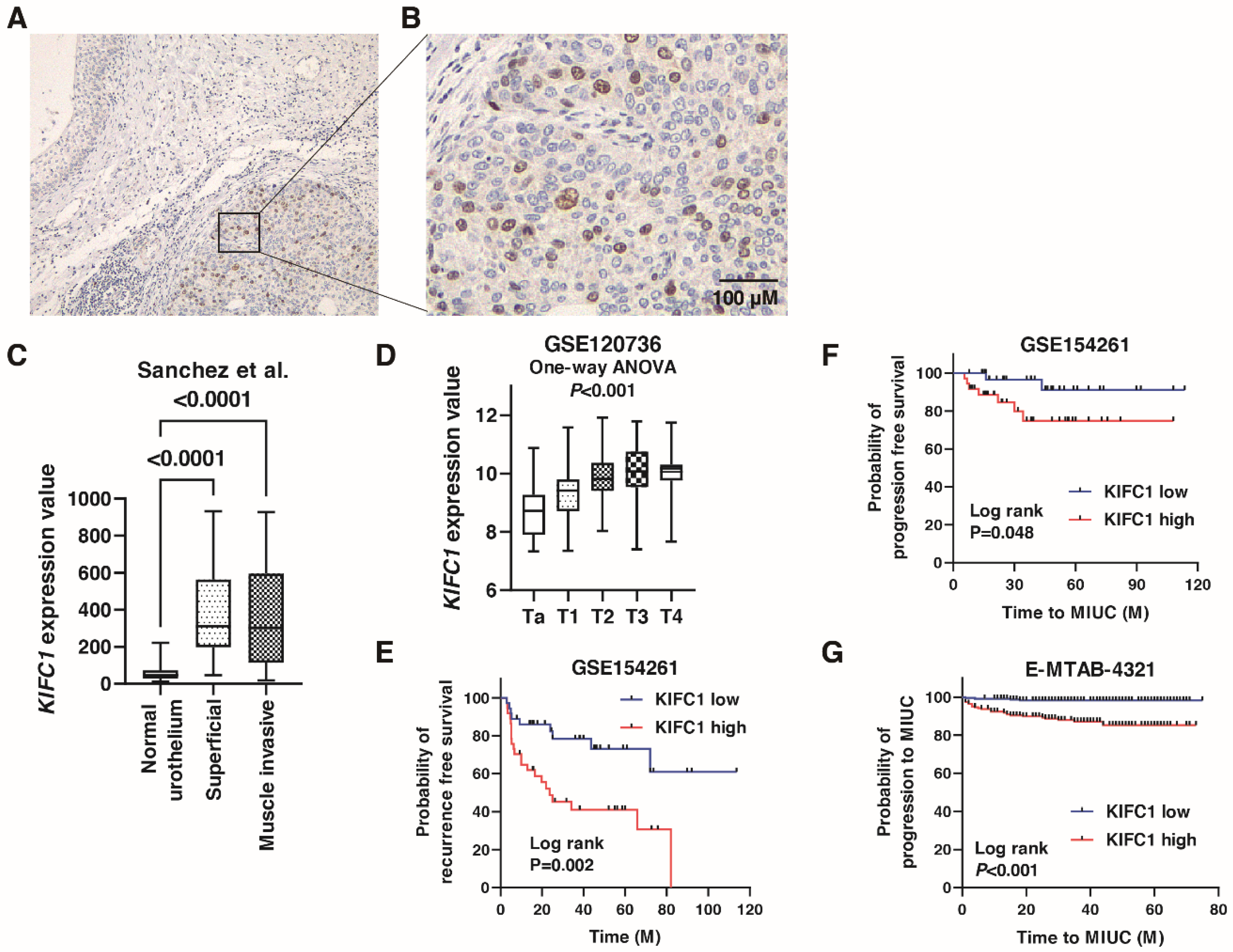 Jcm 10 04837 g001 Jcm 10 04837 g001