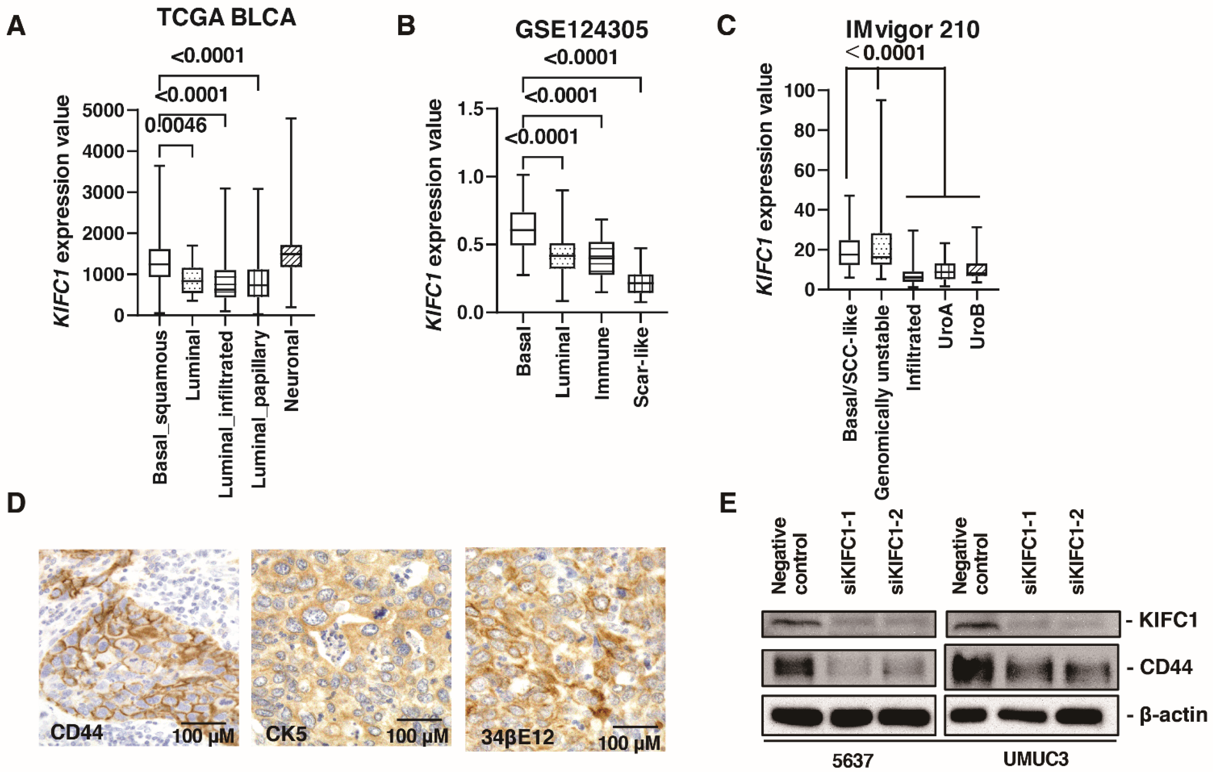 Jcm 10 04837 g003 Jcm 10 04837 g003