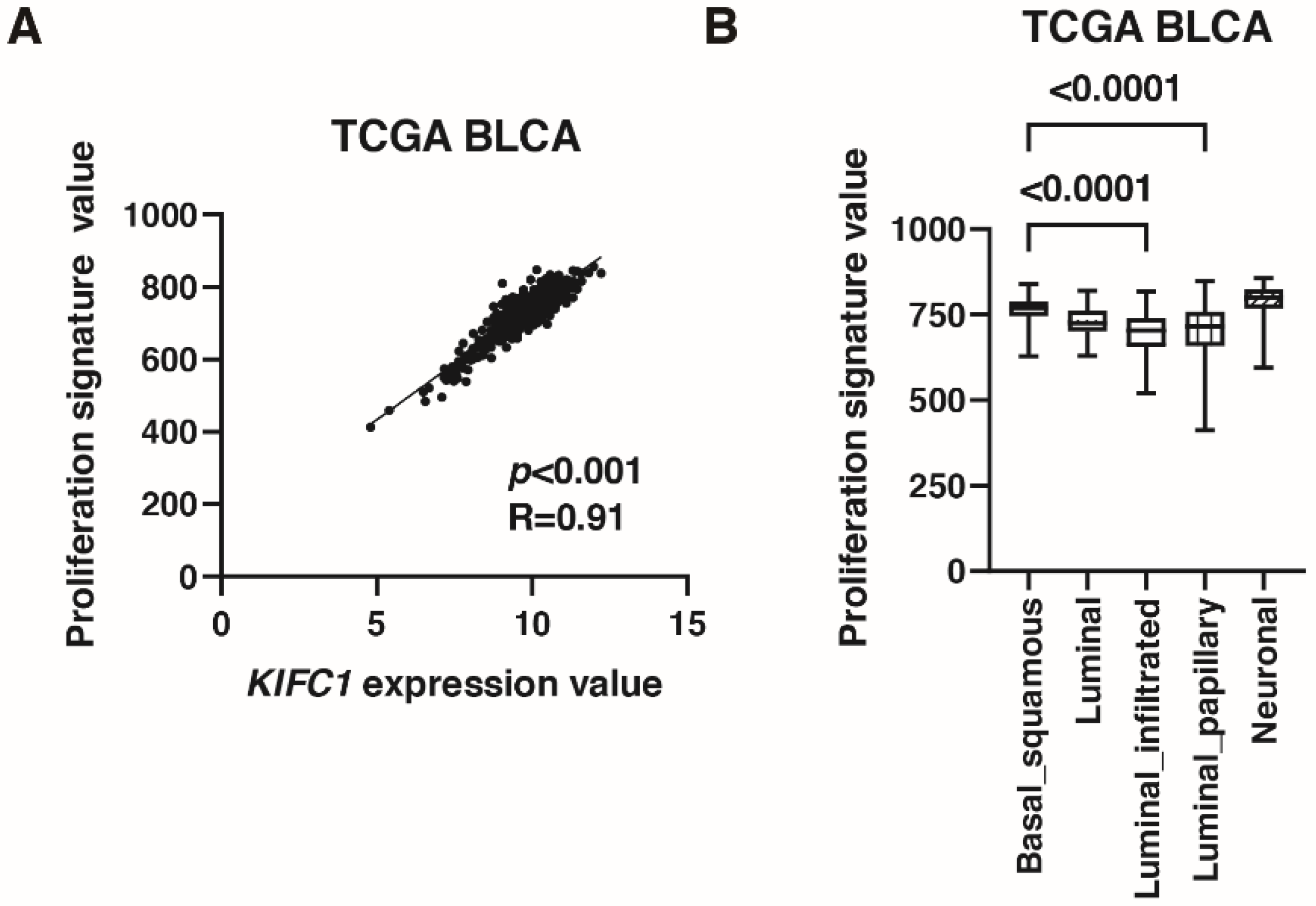 Jcm 10 04837 g004 Jcm 10 04837 g004