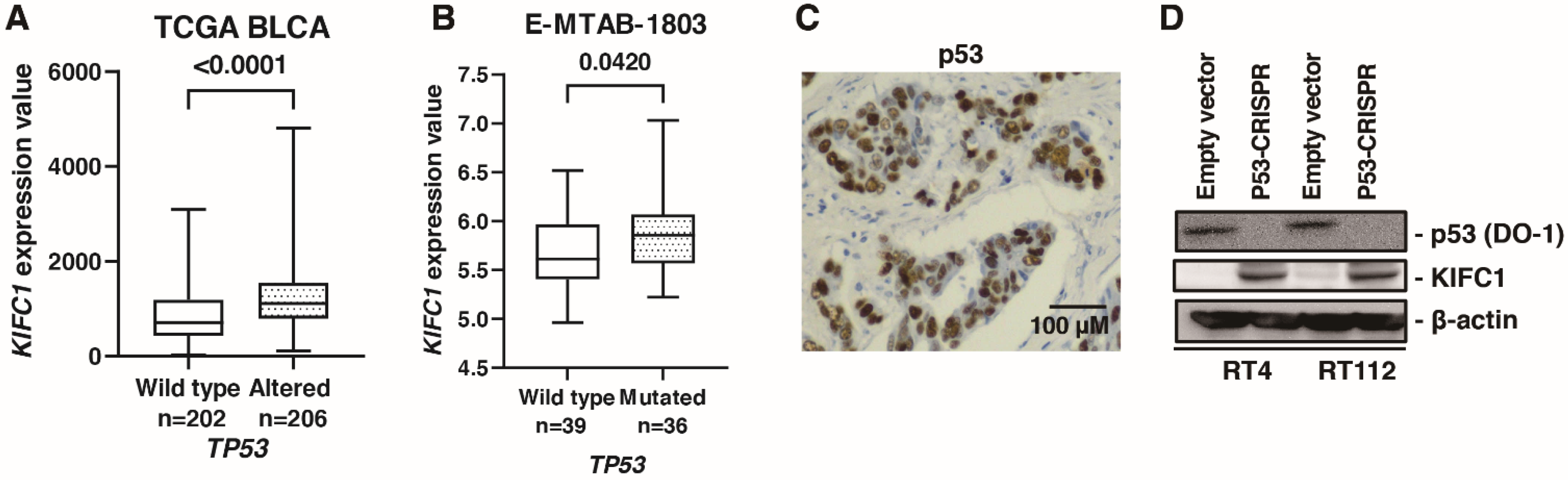 Jcm 10 04837 g006 Jcm 10 04837 g006