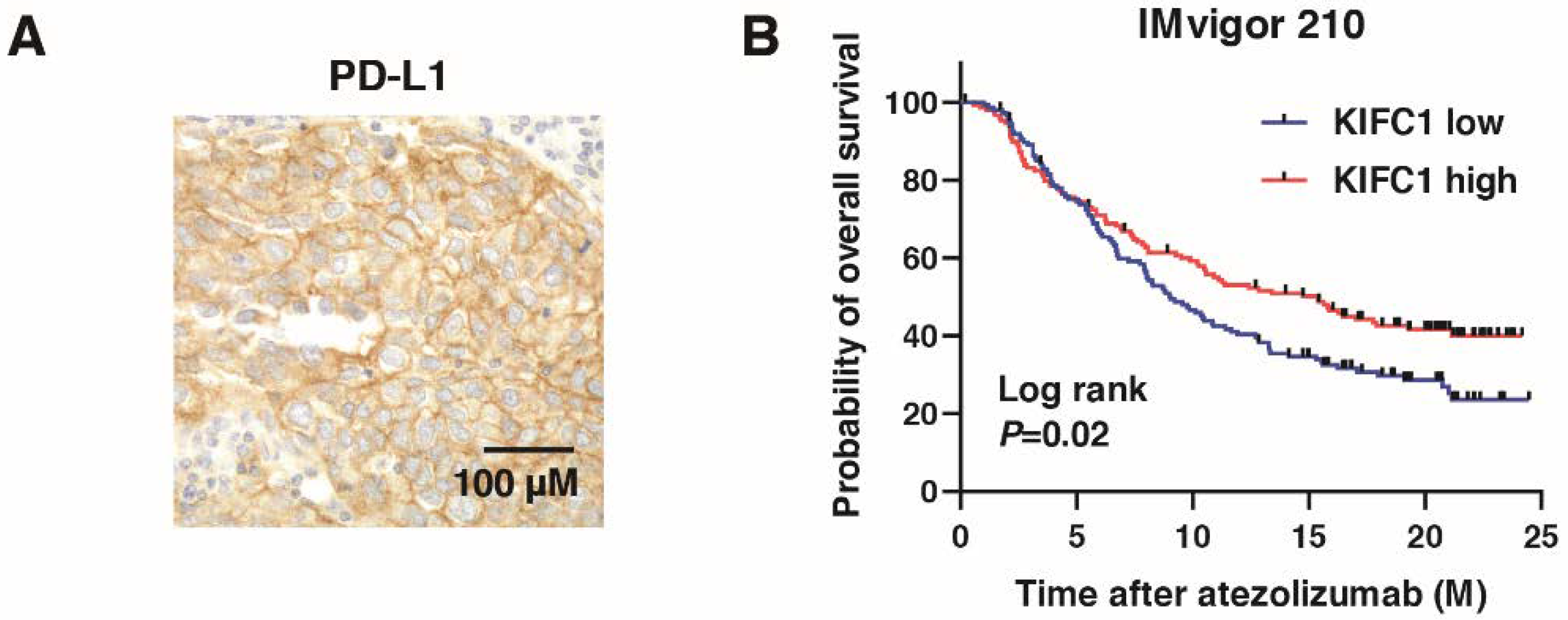 Jcm 10 04837 g008 Jcm 10 04837 g008