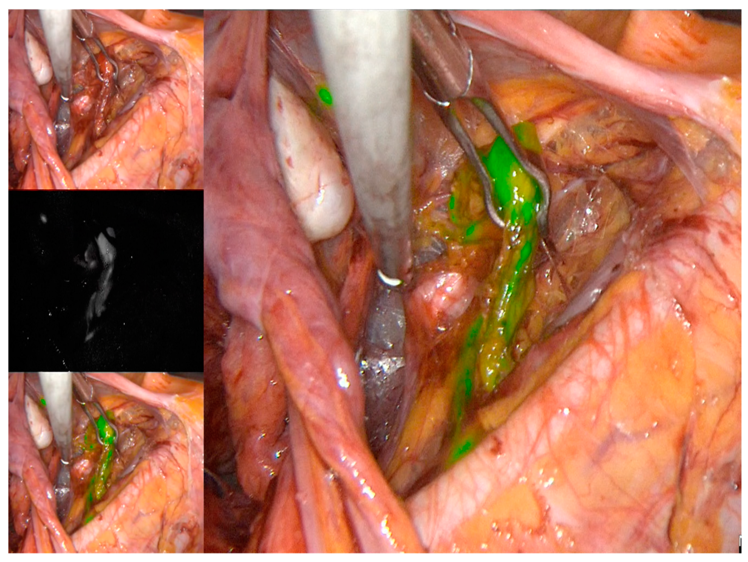 Jcm 10 04849 g001 550