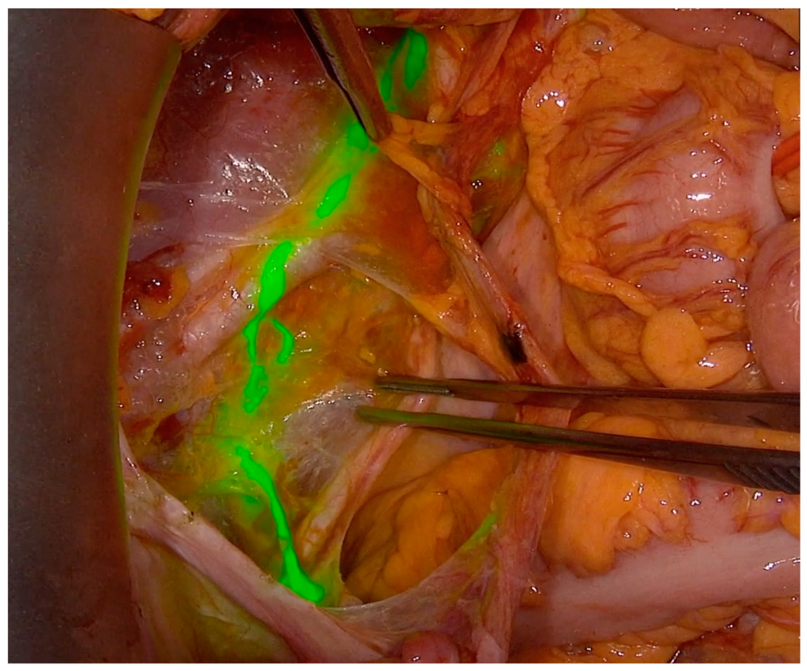 Jcm 10 04849 g002 550