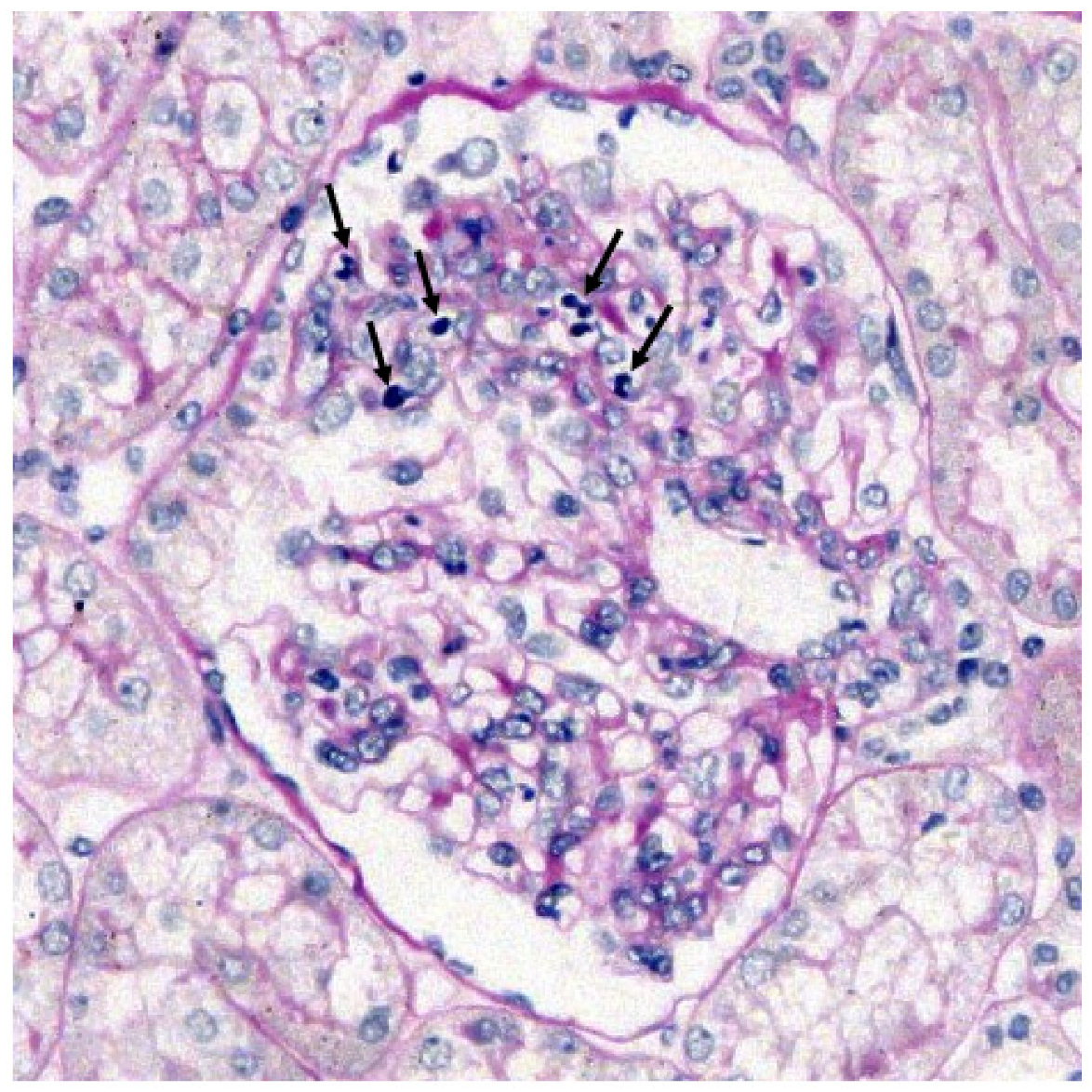 Jcm 10 04851 g001 550