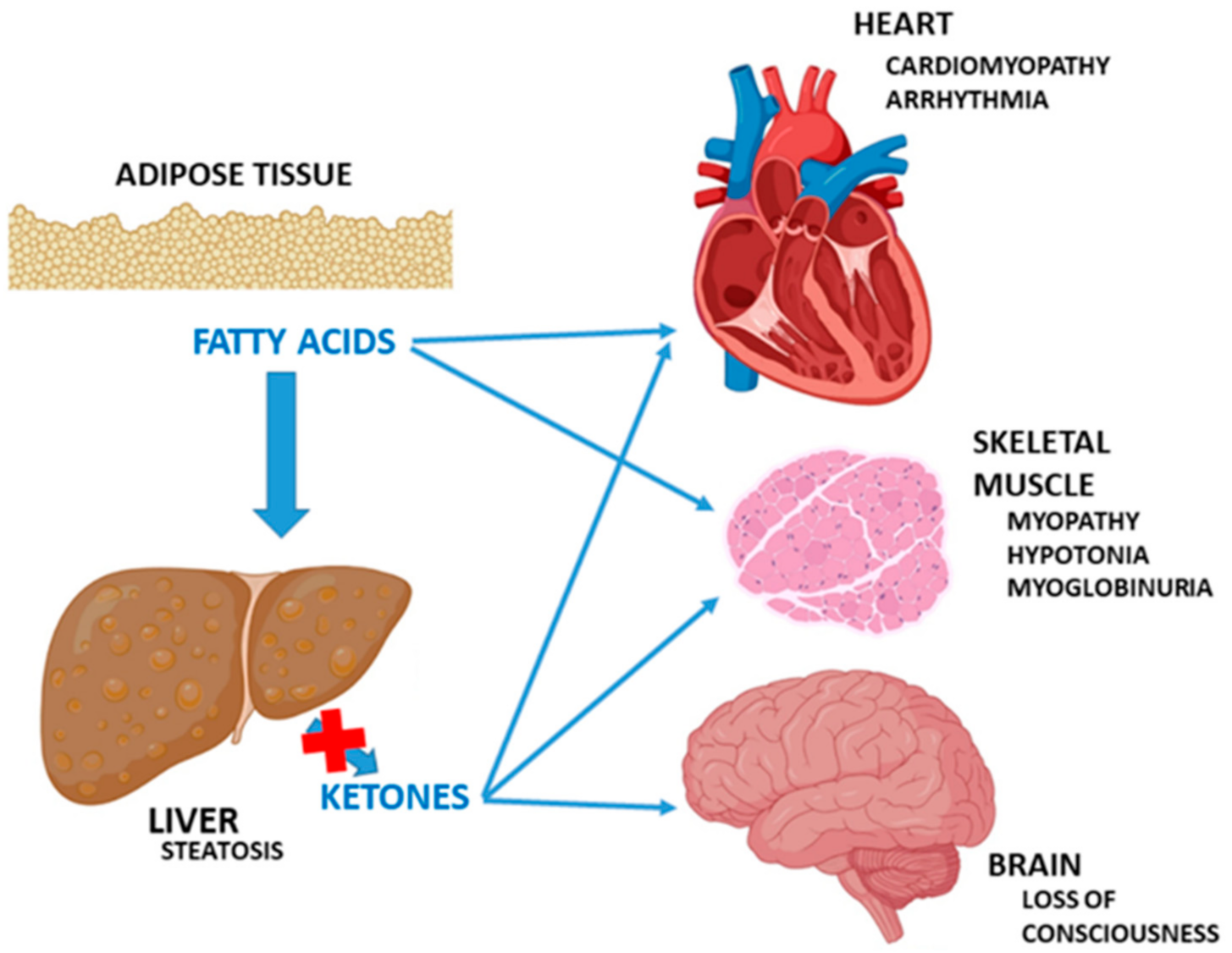 Jcm 10 04855 g002 Jcm 10 04855 g002