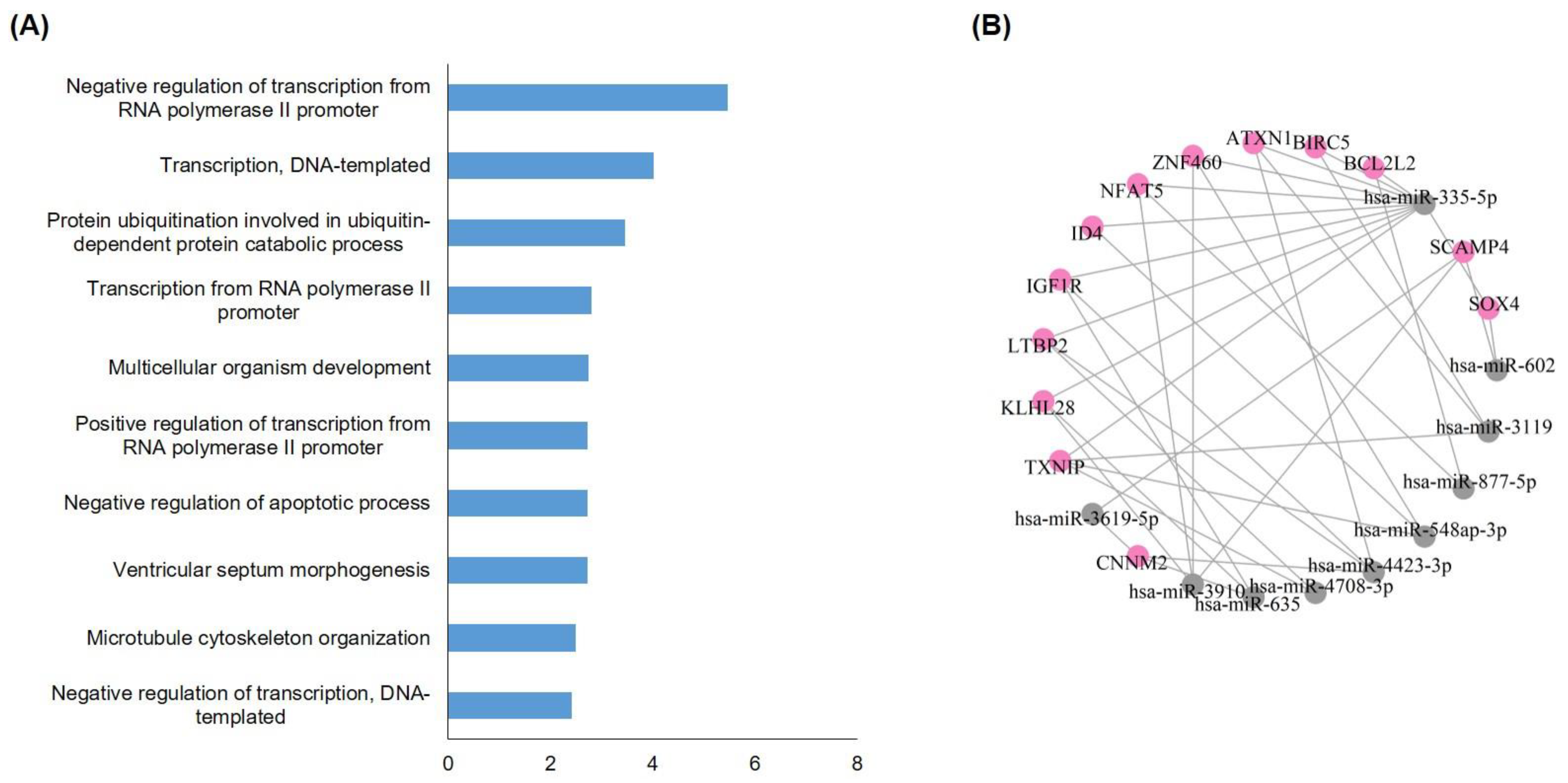 Jcm 10 04860 g006 Jcm 10 04860 g006