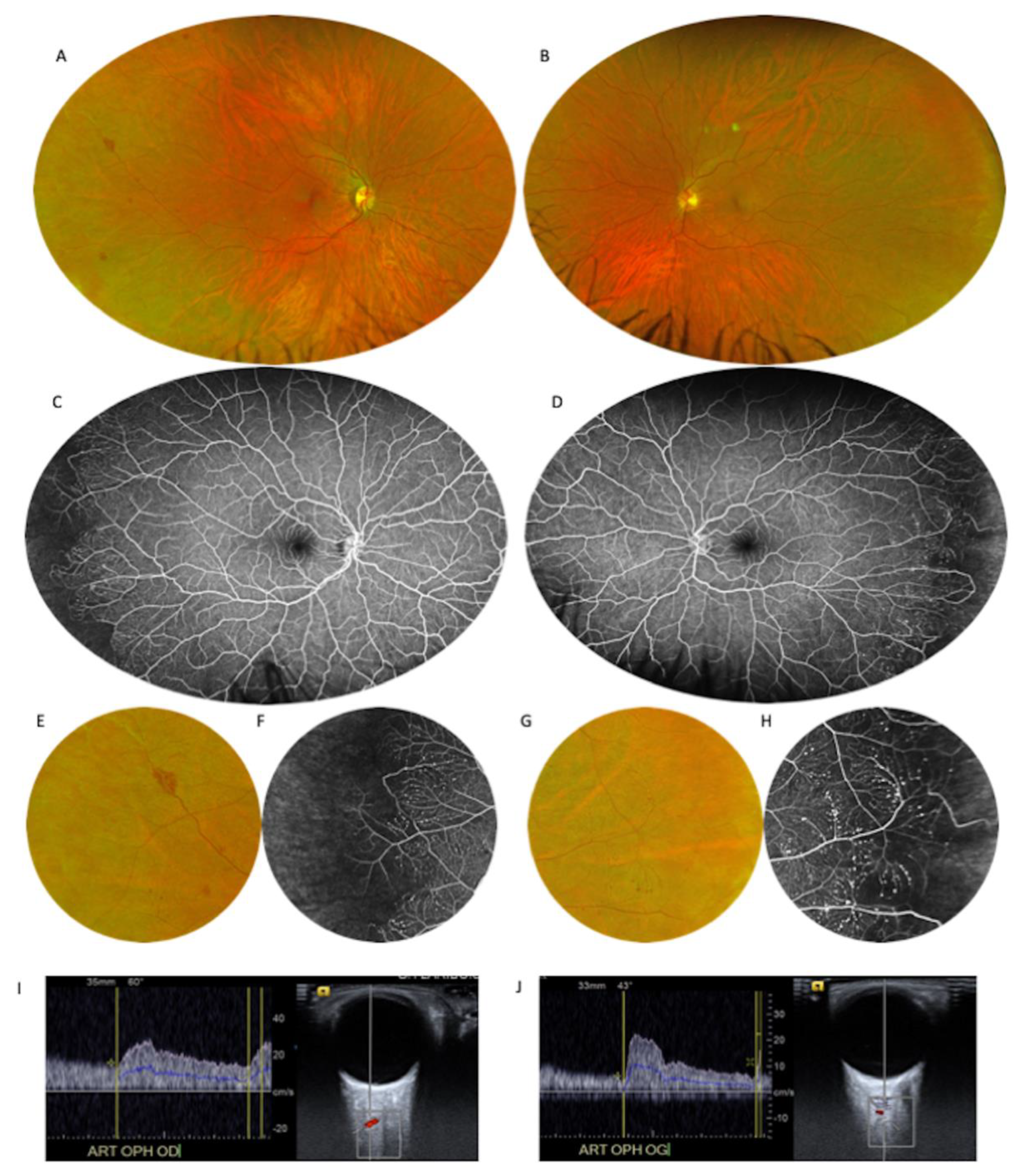 Jcm 10 04916 g001 550