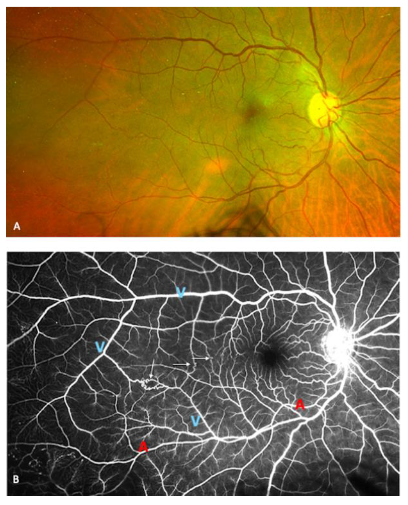 Jcm 10 04916 g002 550
