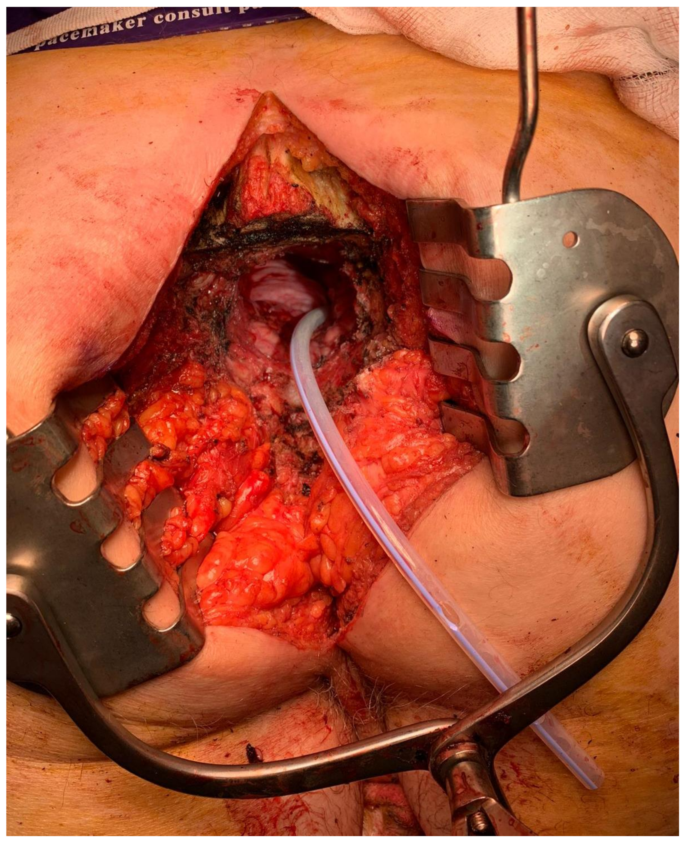 Jcm 10 04921 g003 Jcm 10 04921 g003