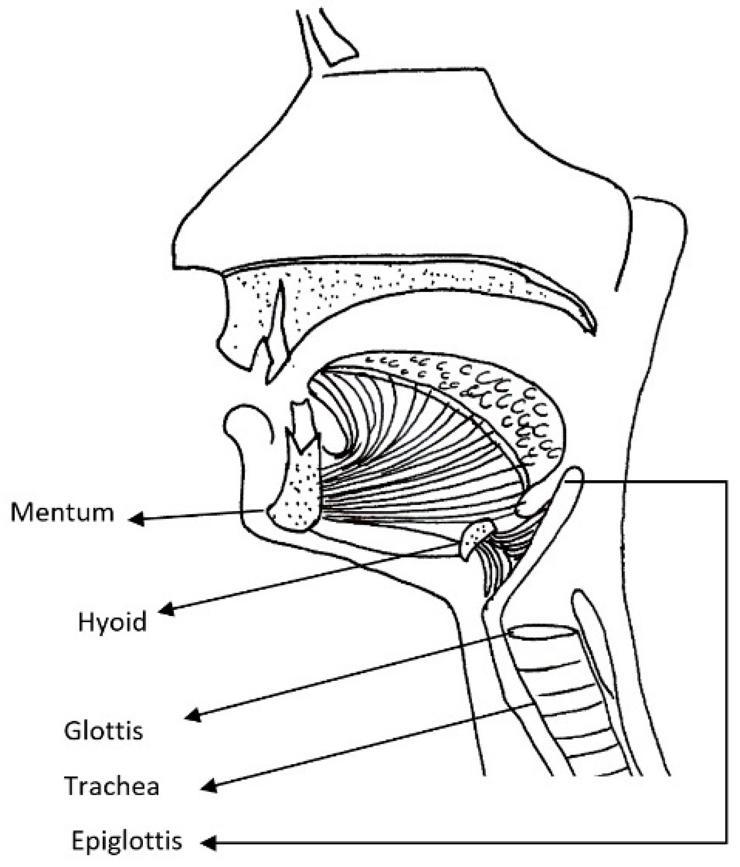 Jcm 10 04924 g004 550