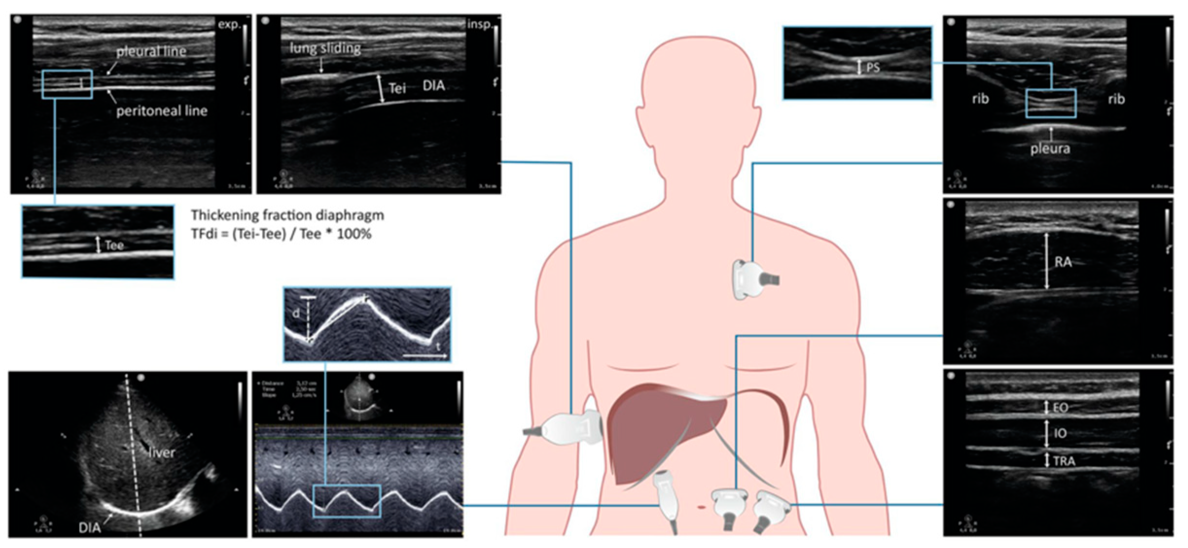 Jcm 10 04943 g002 Jcm 10 04943 g002
