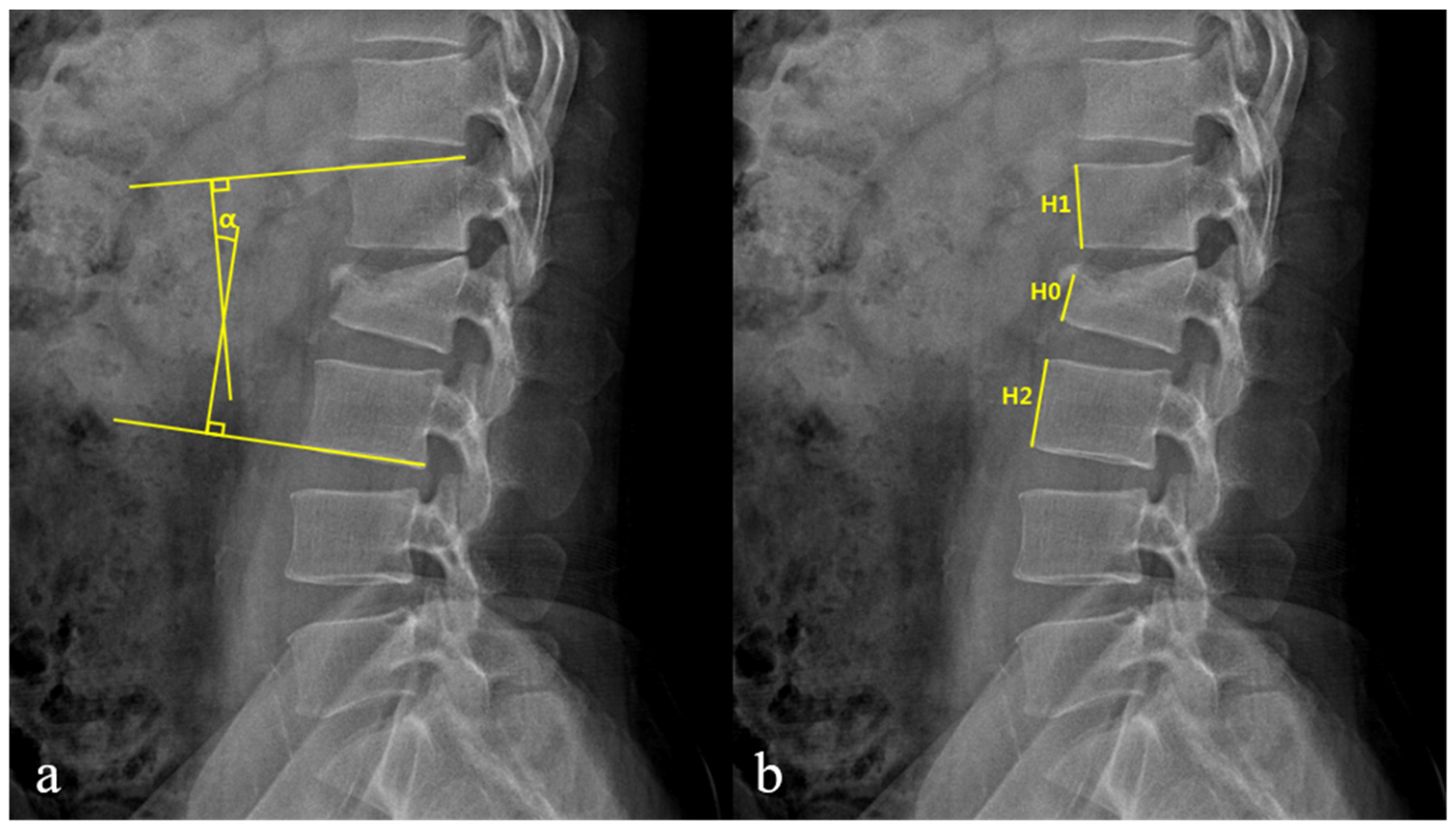 Jcm 10 04944 g001 Jcm 10 04944 g001