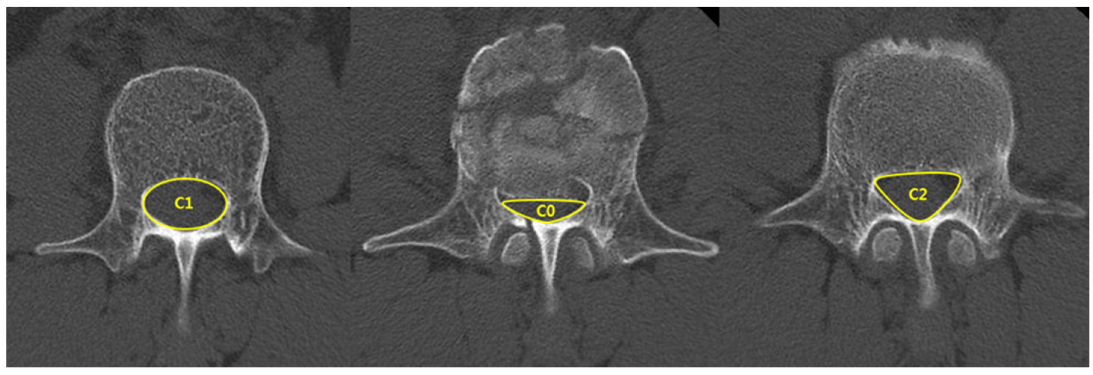Jcm 10 04944 g002 Jcm 10 04944 g002