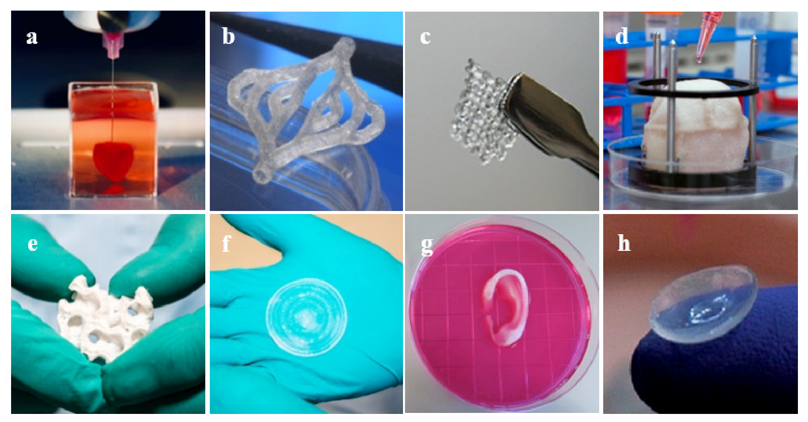 Jcm 10 04966 g007 550