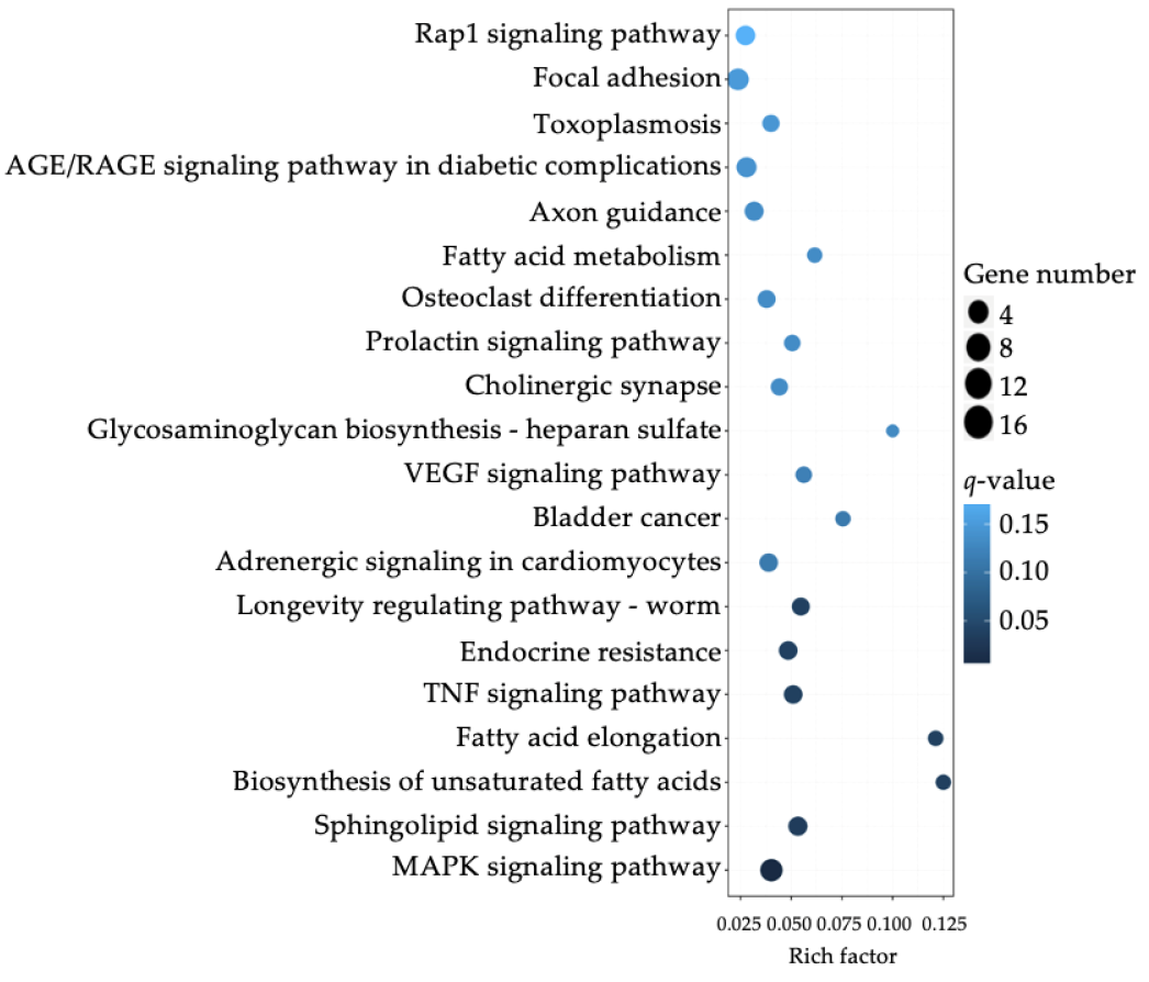 Jcm 10 04999 g004 Jcm 10 04999 g004