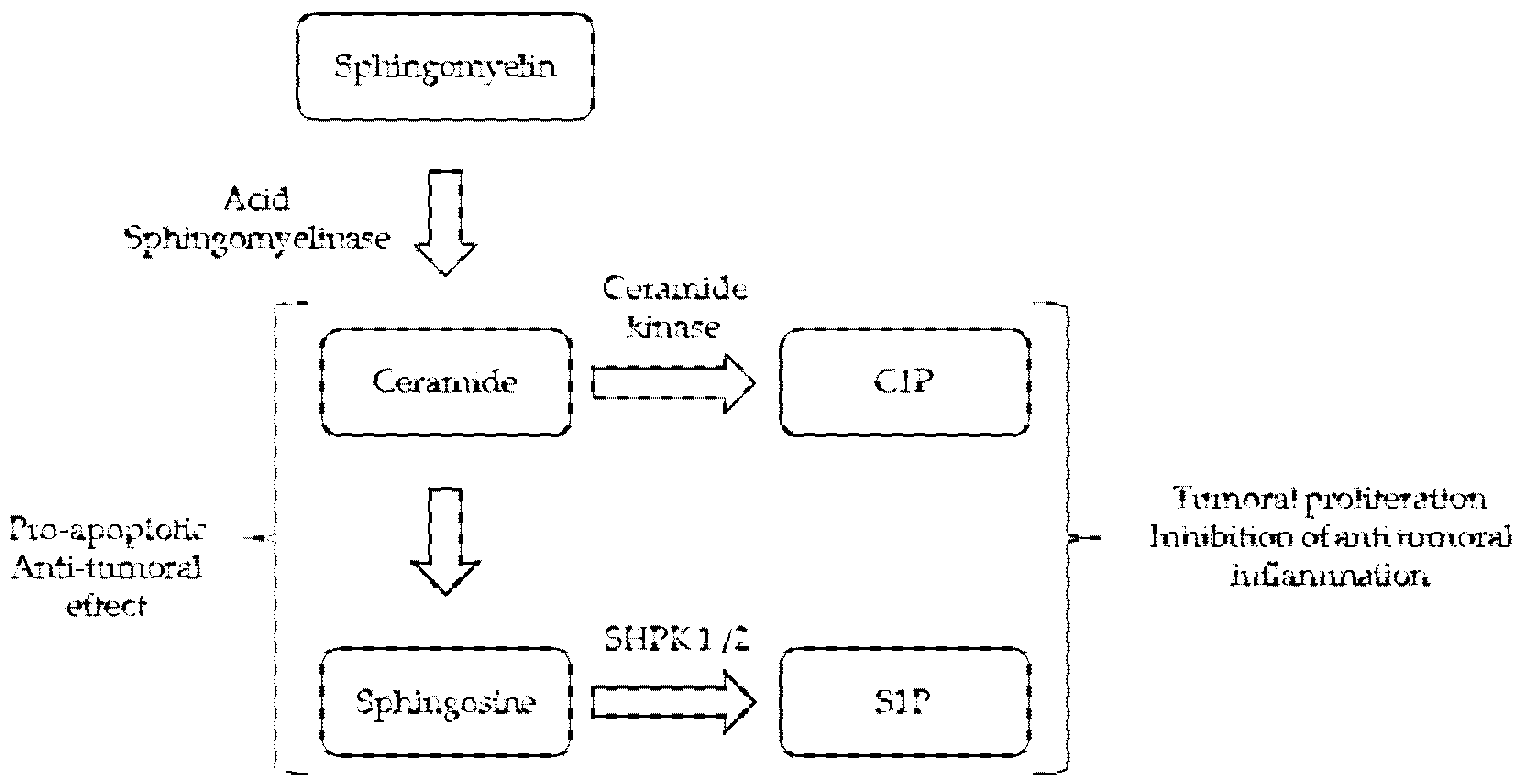 Jcm 10 05029 g002 550