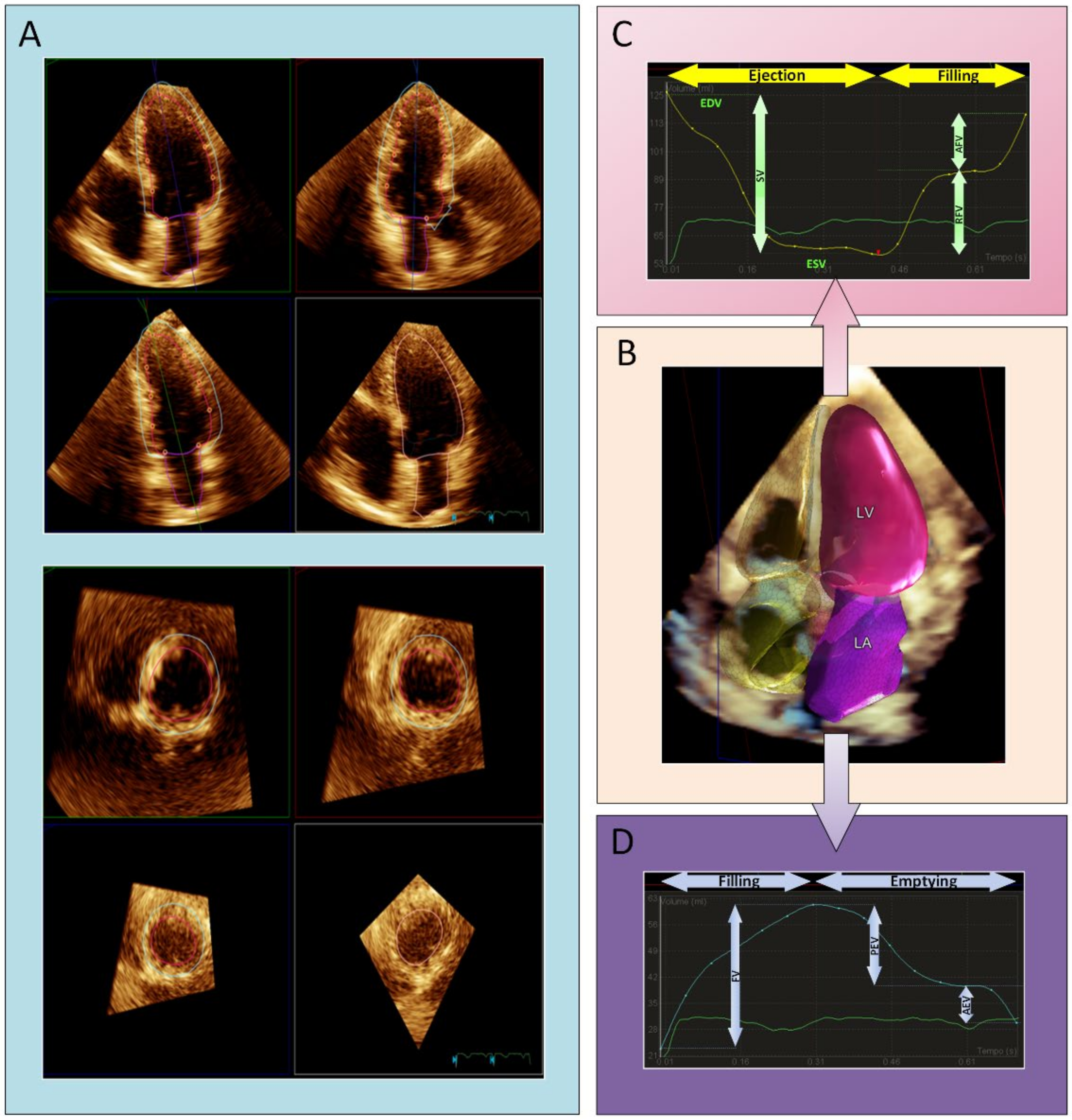 Jcm 10 05030 g001 550