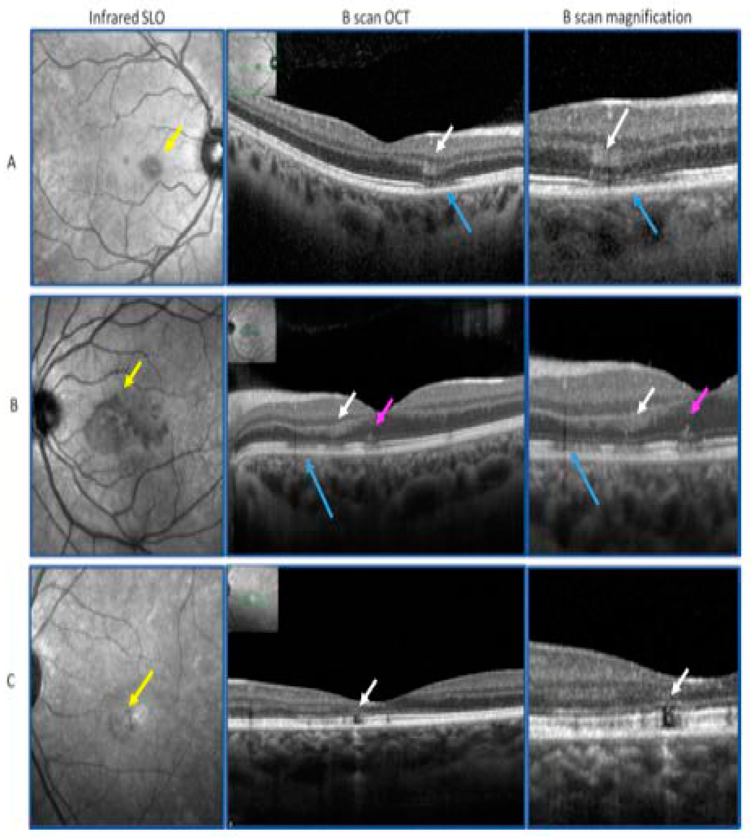 JCM  October-2 2021 - Browse Articles