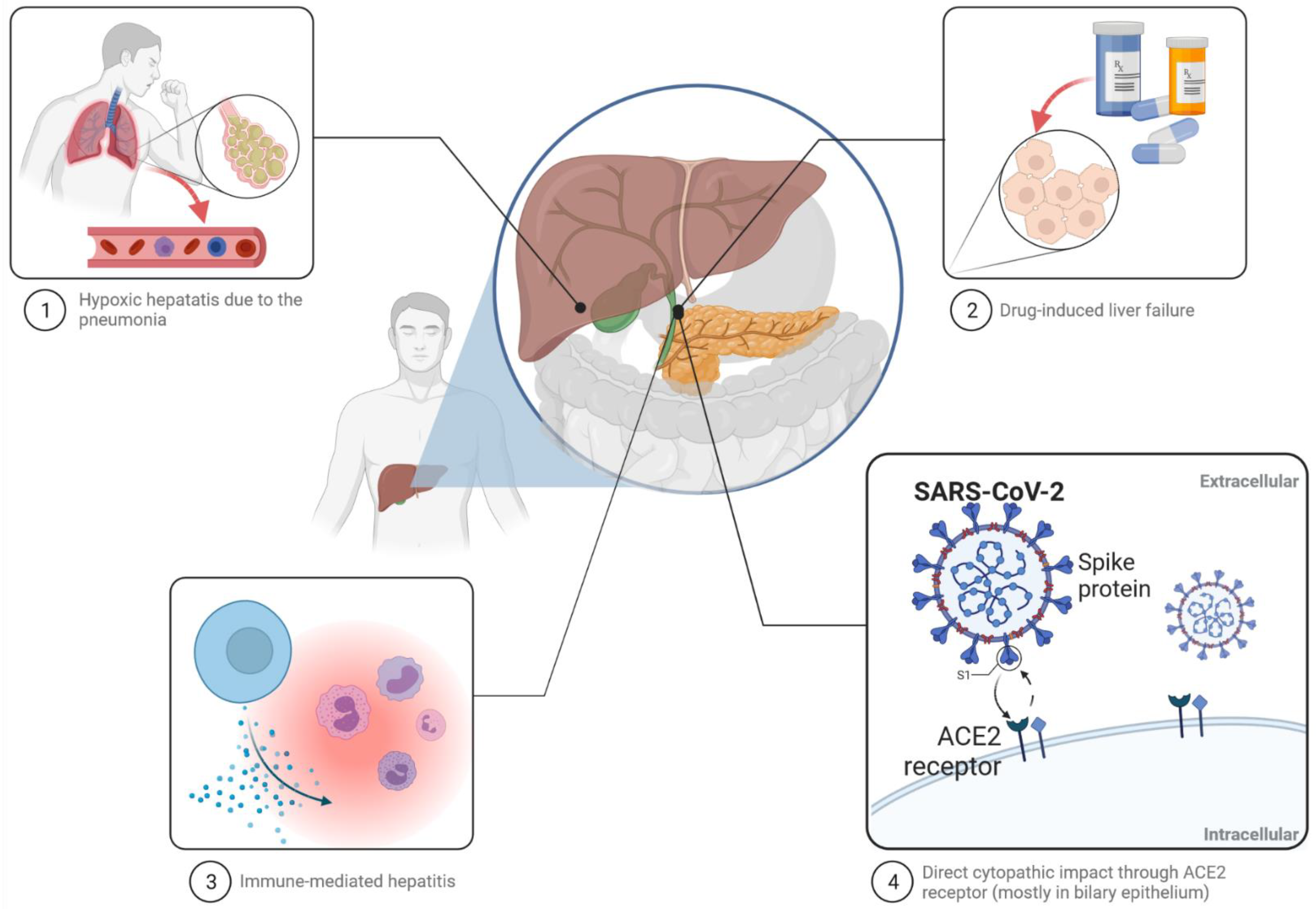 Jcm 10 05048 g001 550