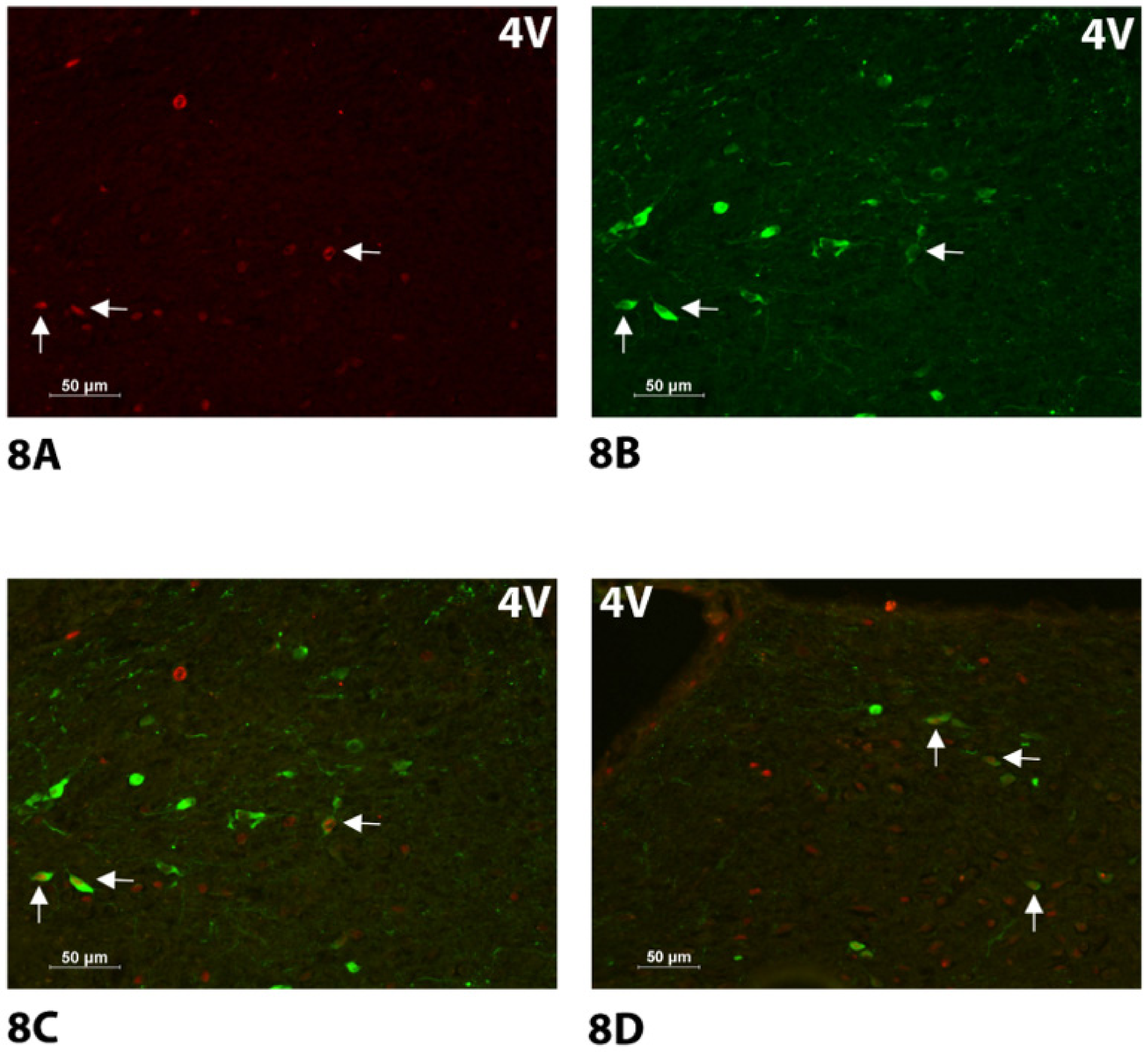 Jcm 10 05078 g008 550
