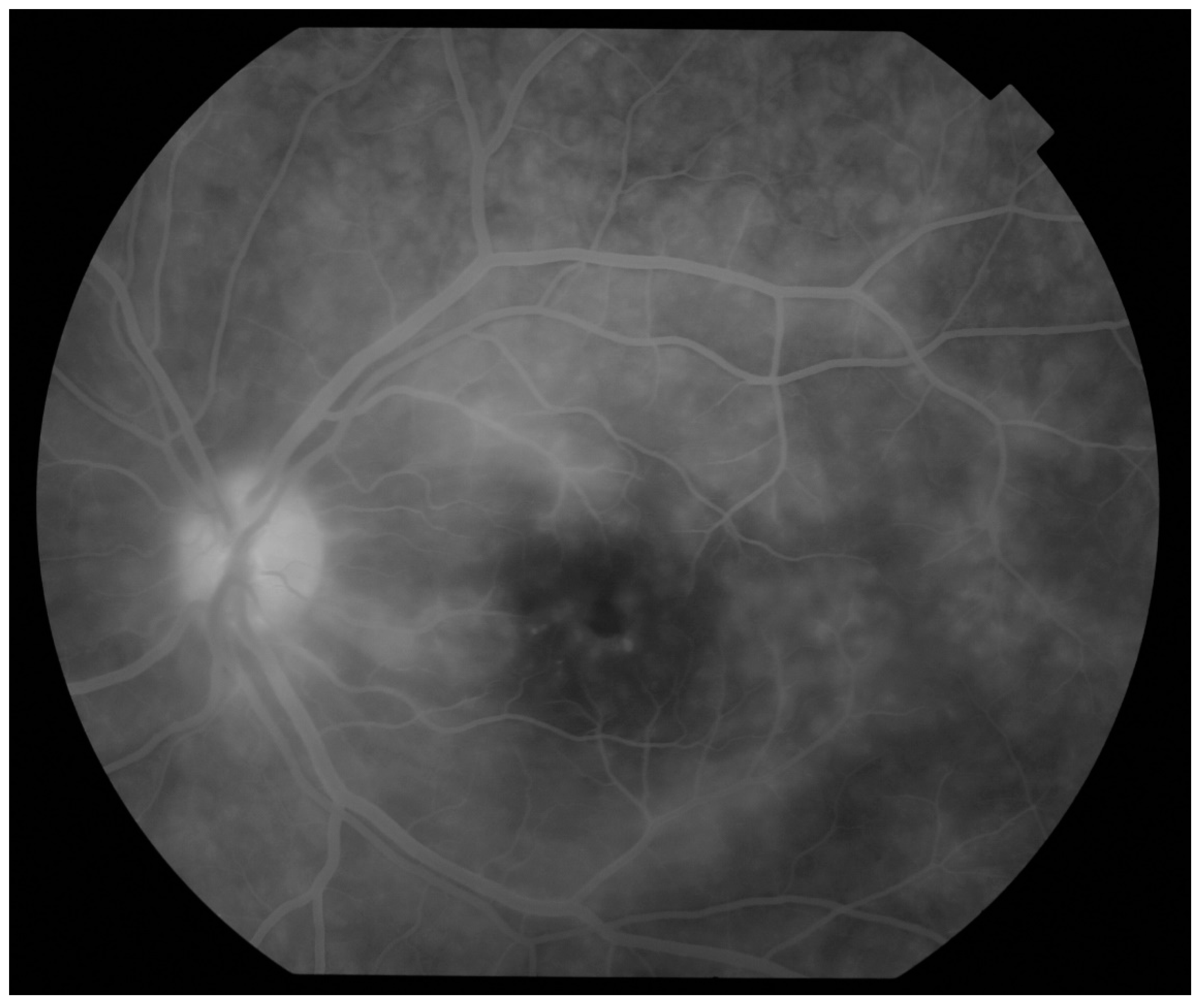 Jcm 10 05174 g002 550