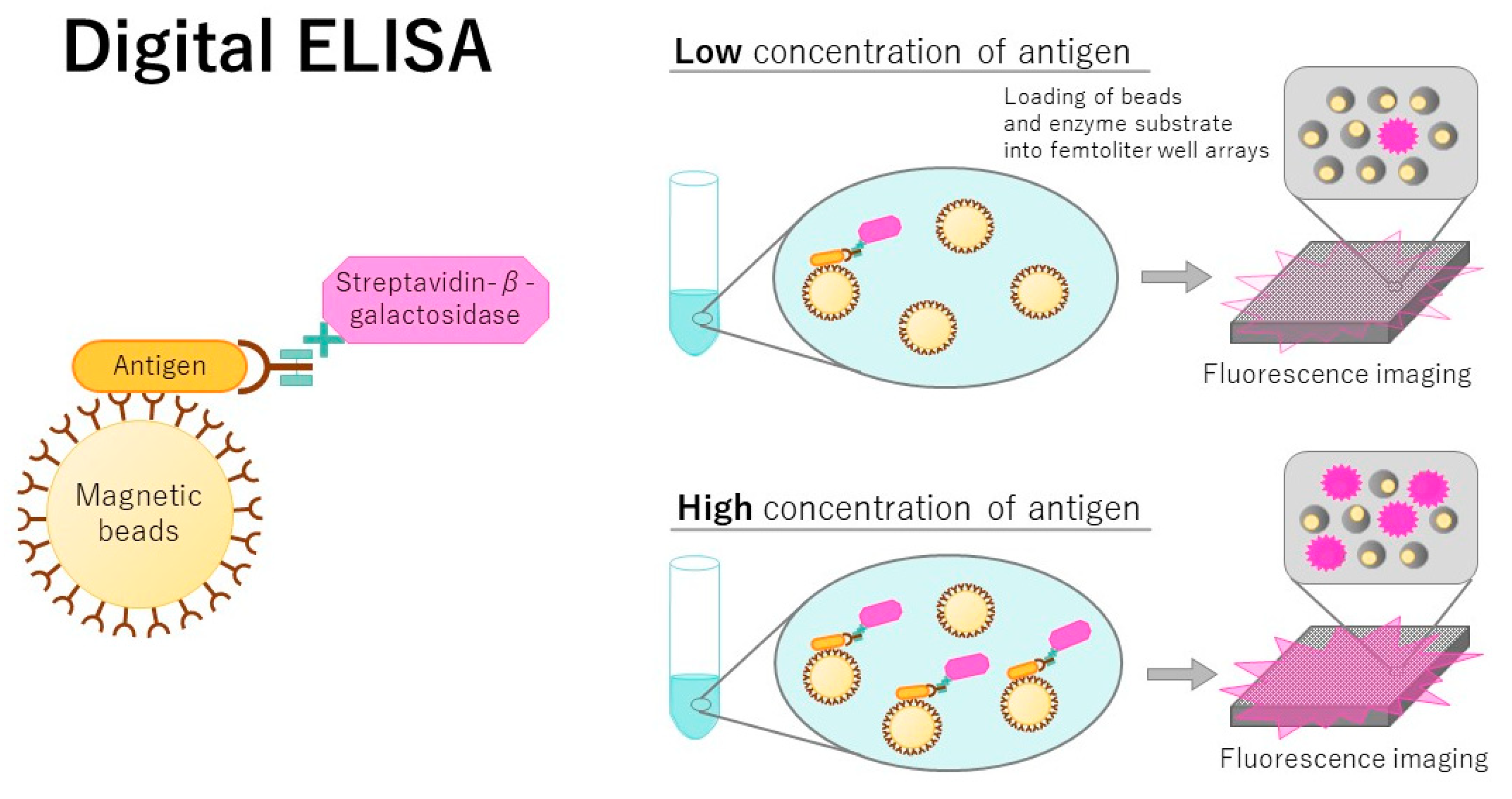 Jcm Free Full Text Modified Elisa For Ultrasensitive Diagnosis Html