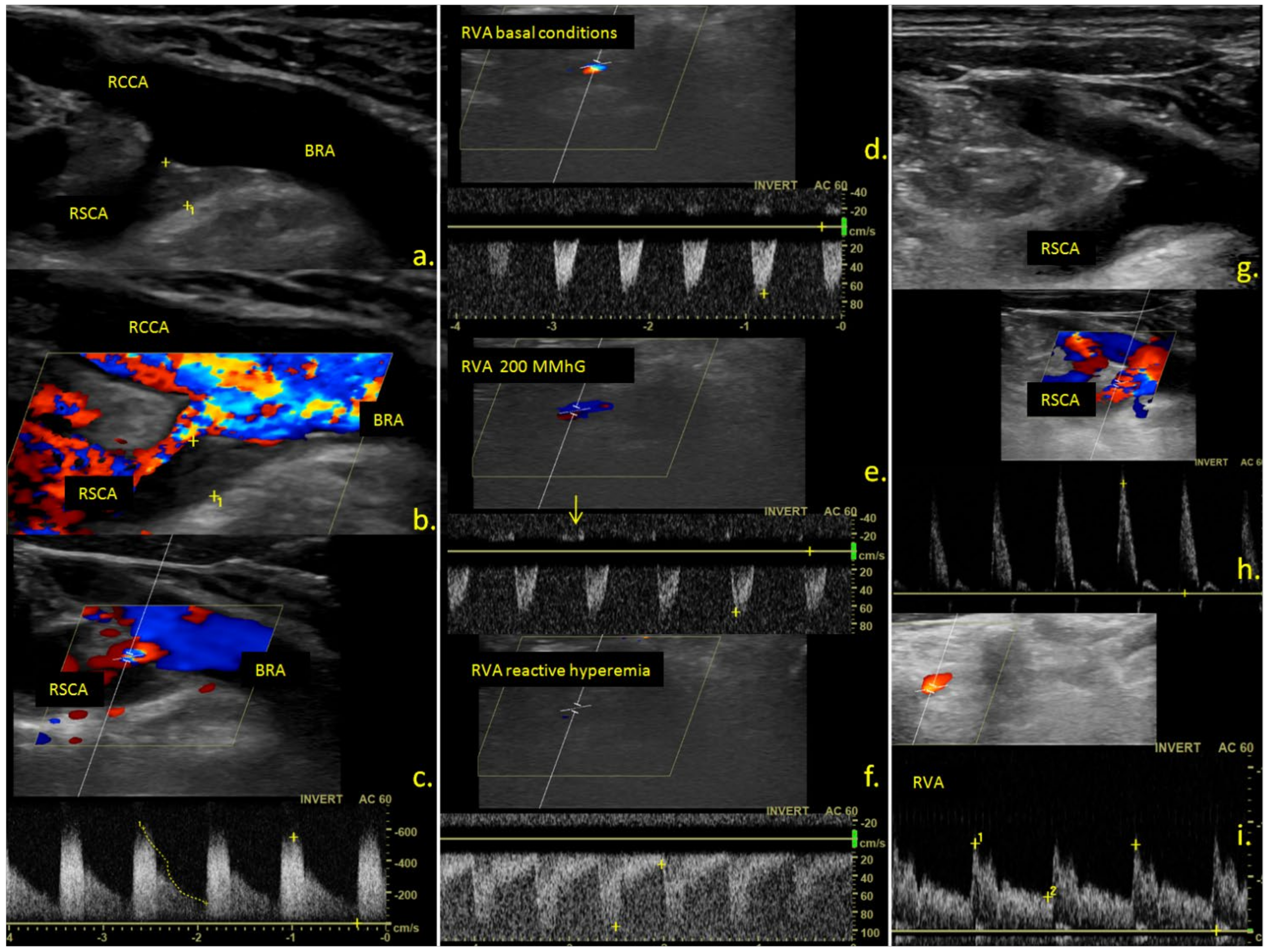 Jcm 10 05237 g001 Jcm 10 05237 g001